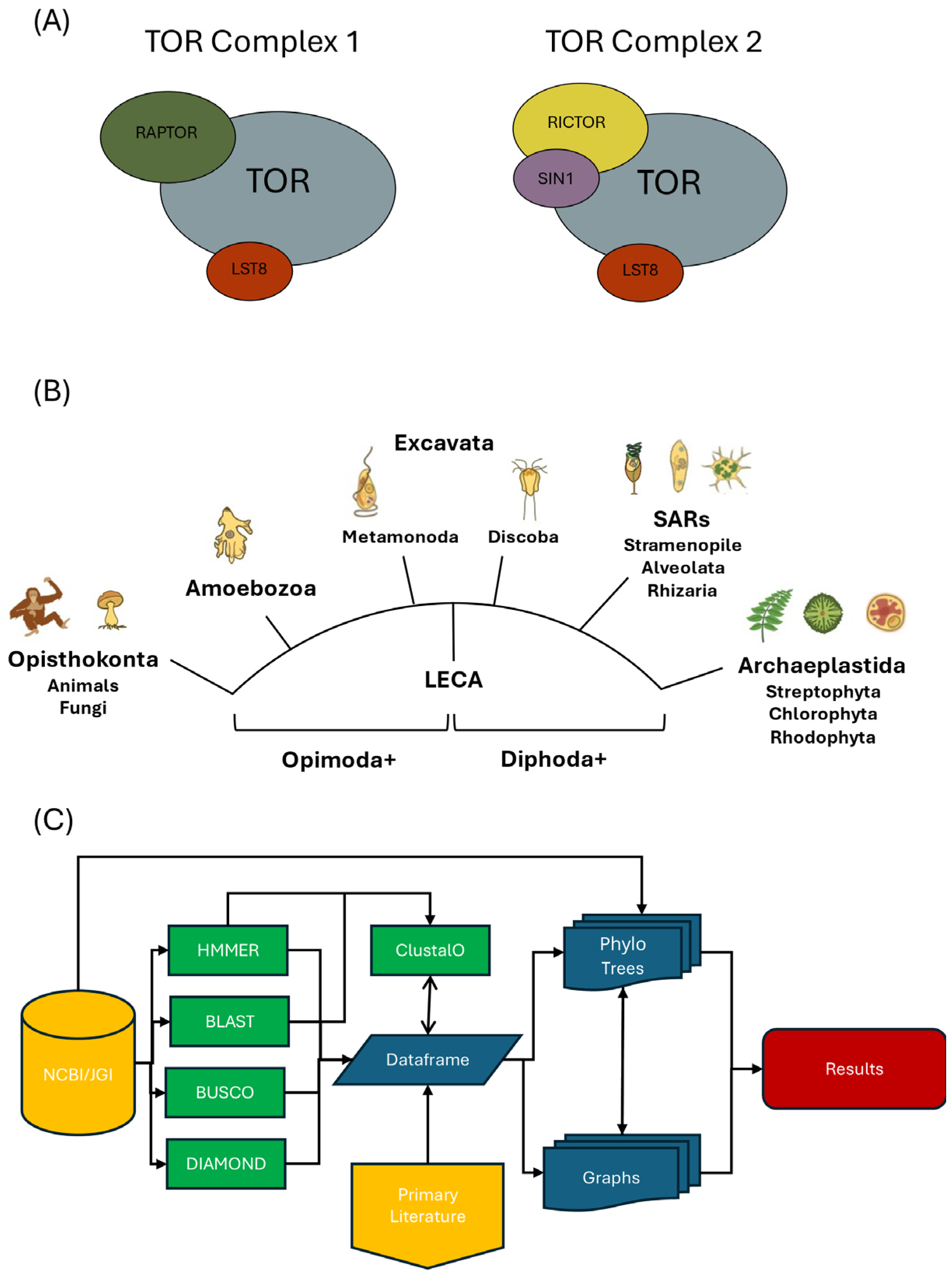 Biomolecules 15 01295 g001 Biomolecules 15 01295 g001