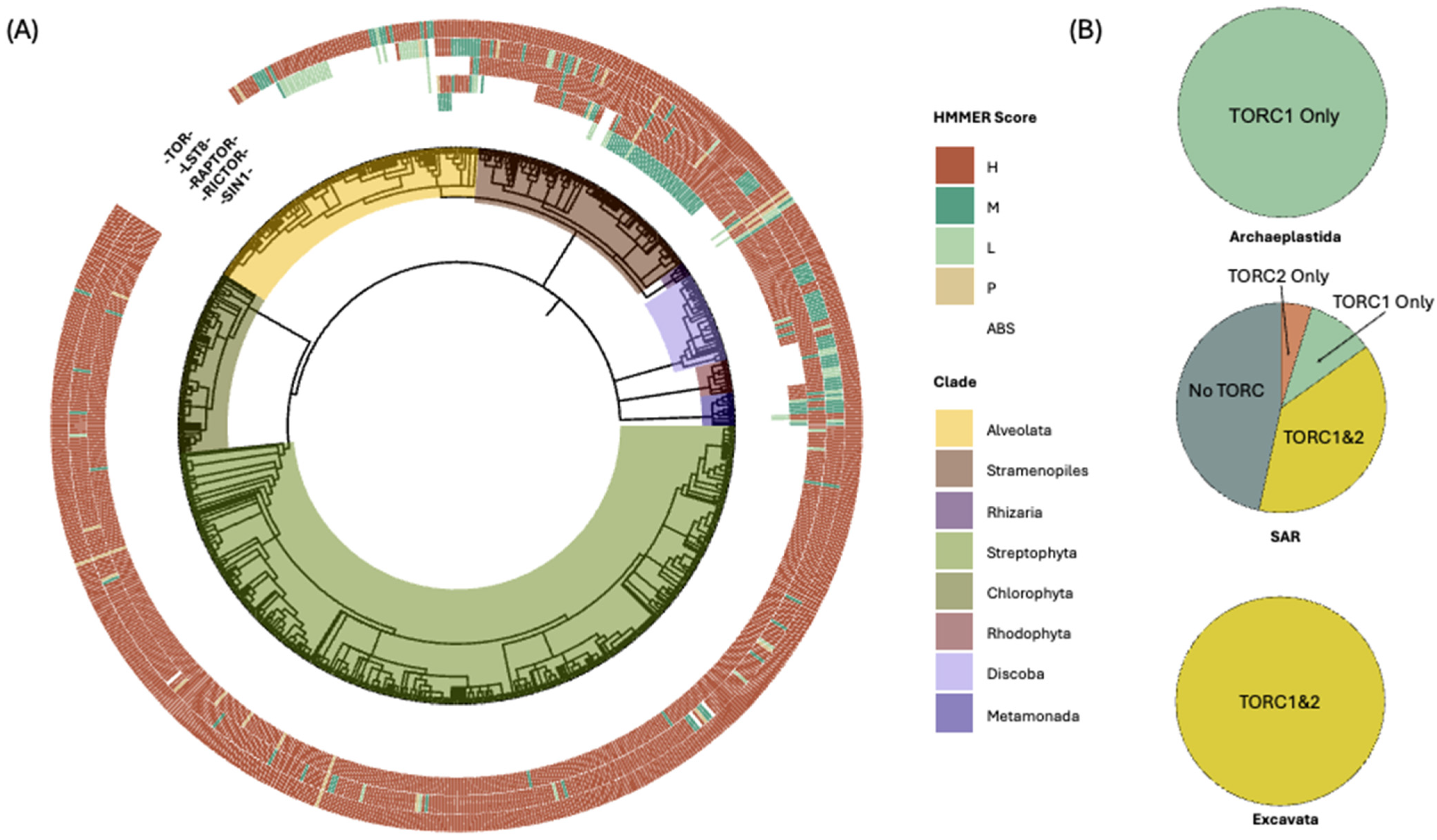 Biomolecules 15 01295 g002 Biomolecules 15 01295 g002