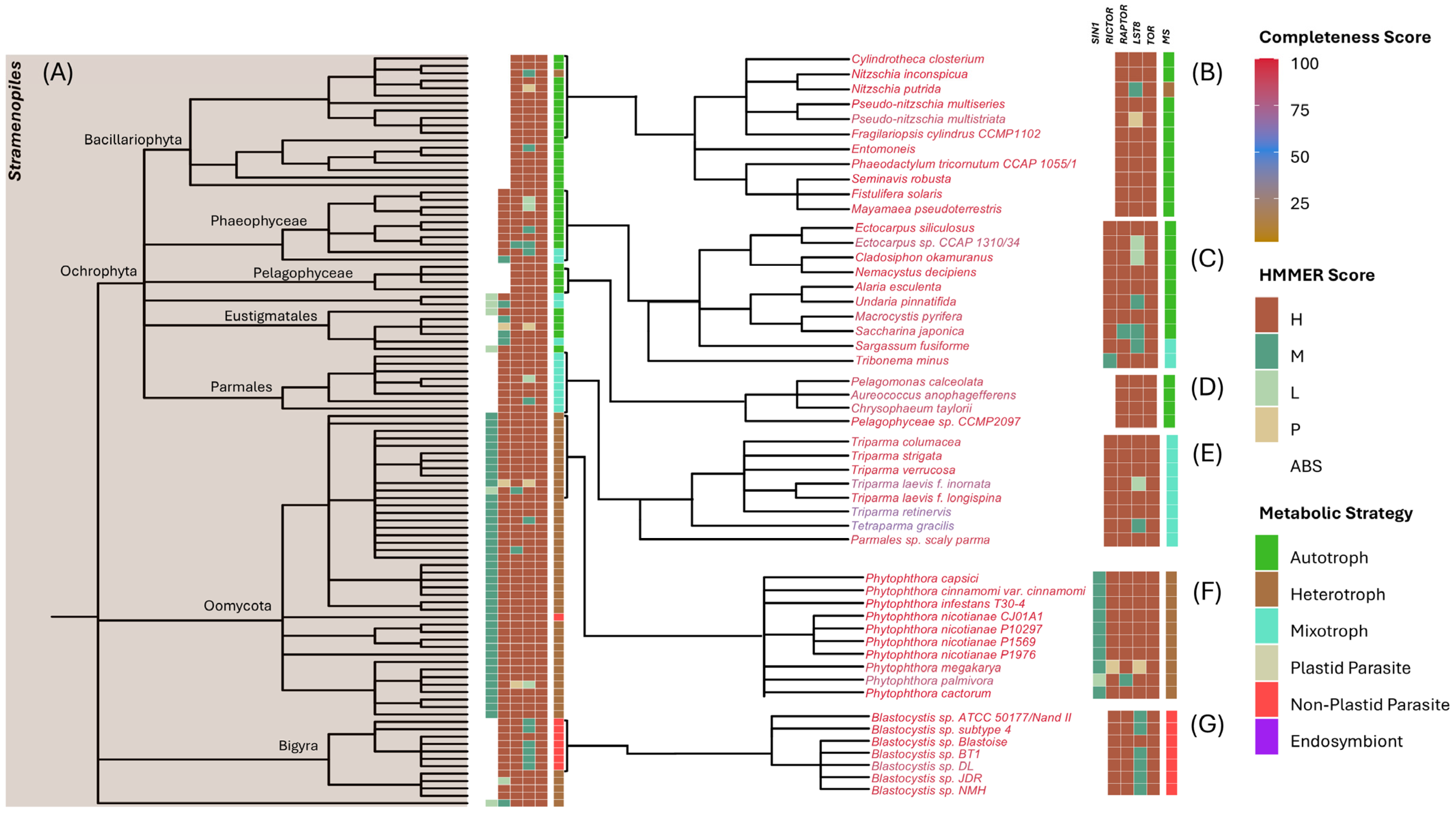 Biomolecules 15 01295 g003 Biomolecules 15 01295 g003