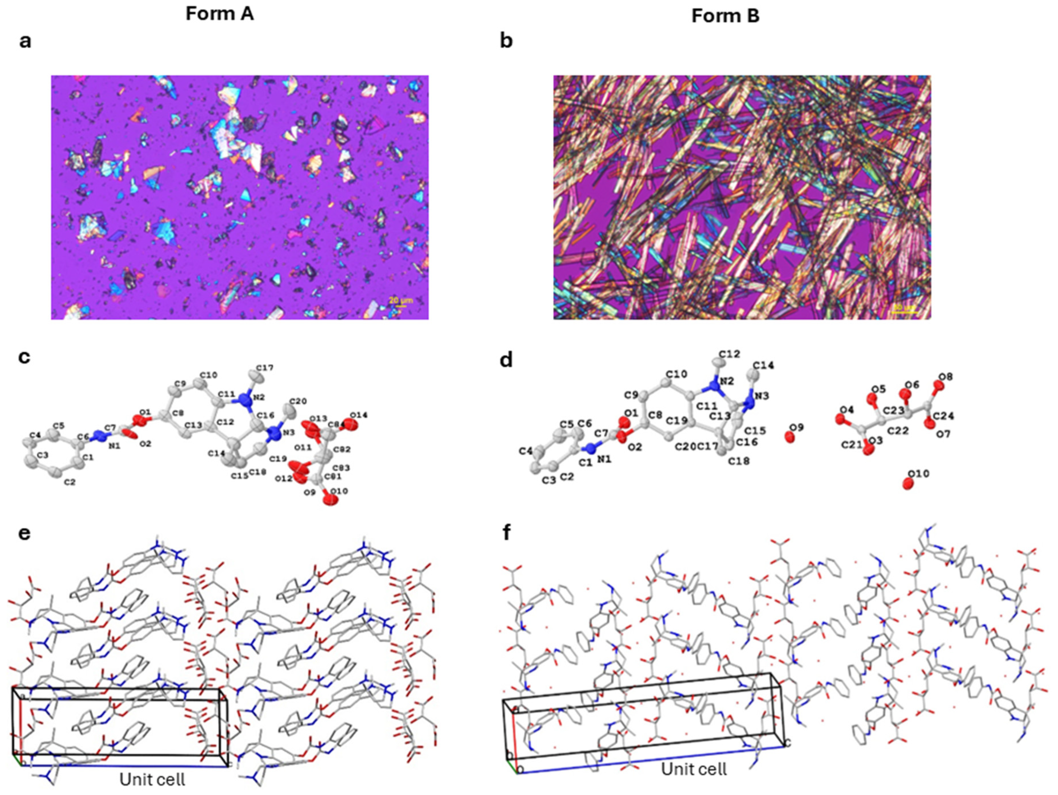Biomolecules 15 01299 g001