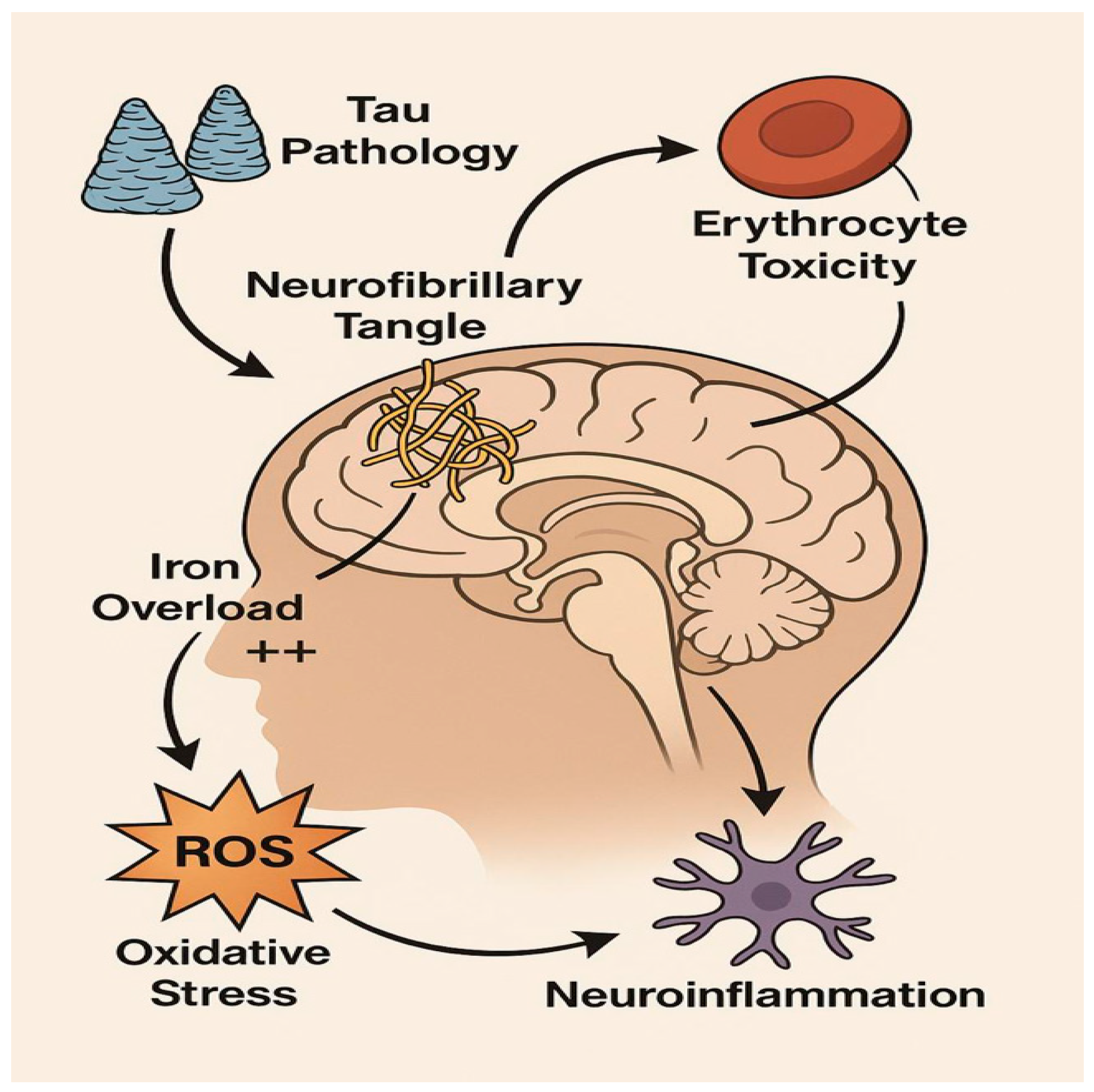 Biomolecules 15 01300 g004 Biomolecules 15 01300 g004