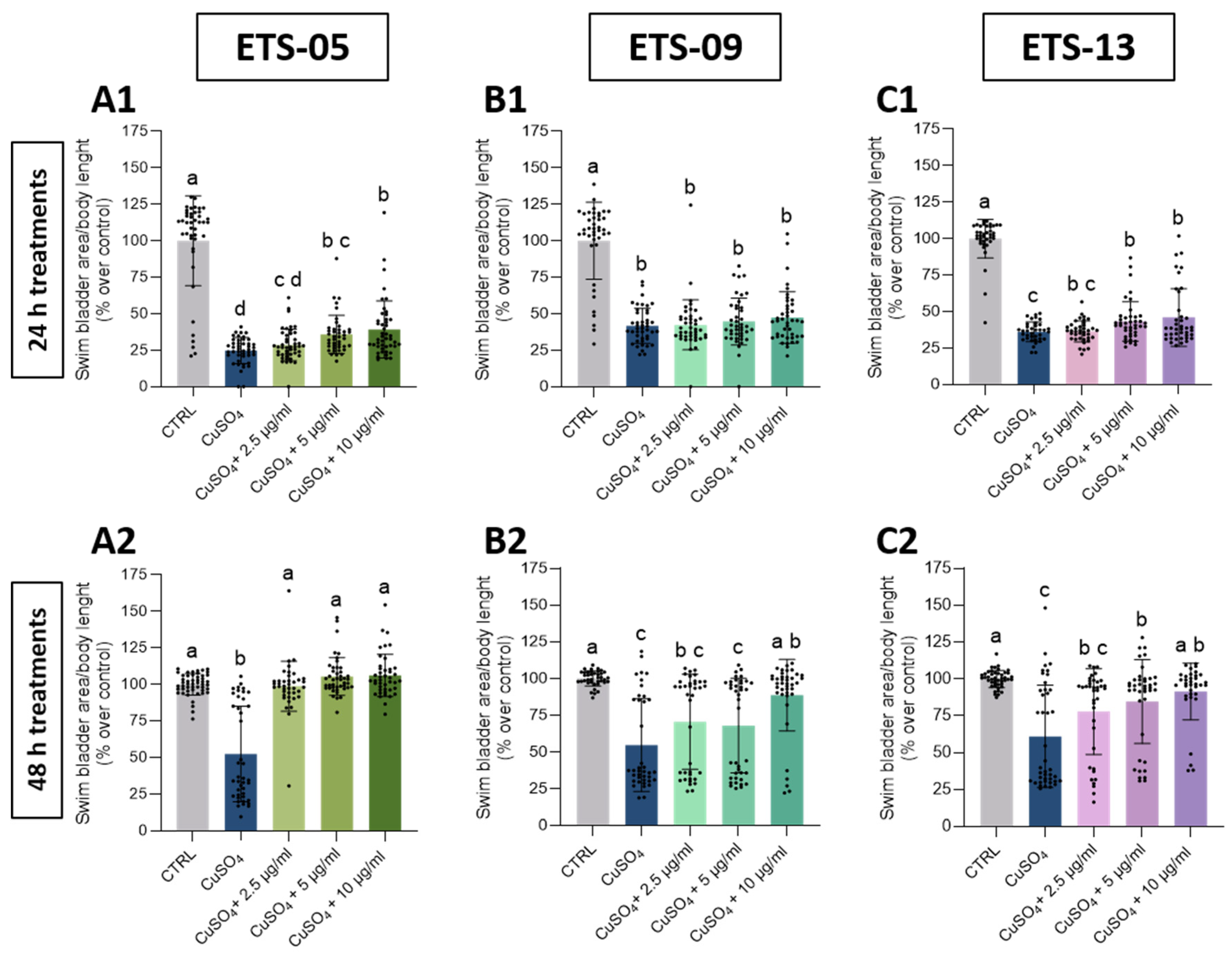Biomolecules 15 01301 g004