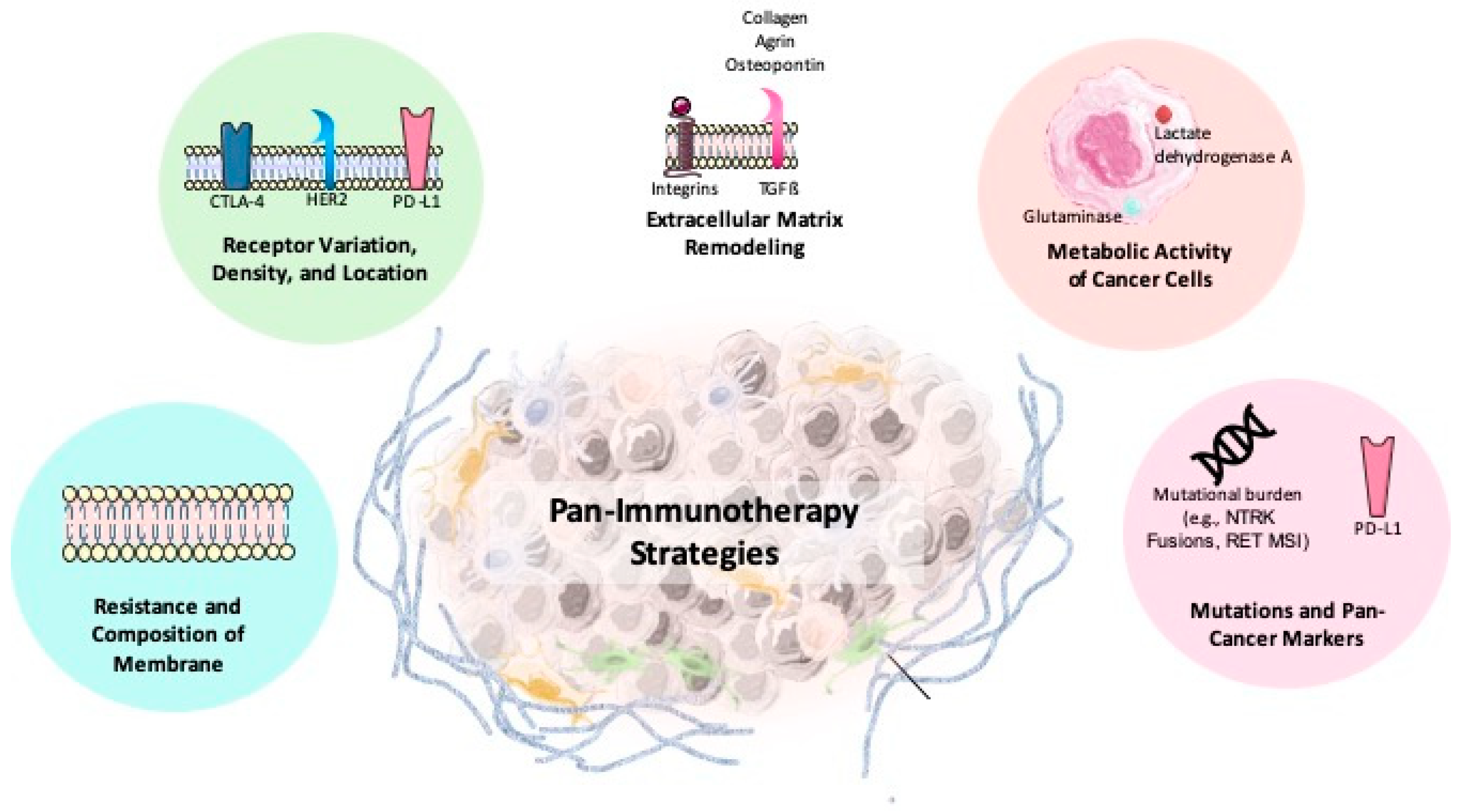 Biomolecules 15 01304 g006 Biomolecules 15 01304 g006