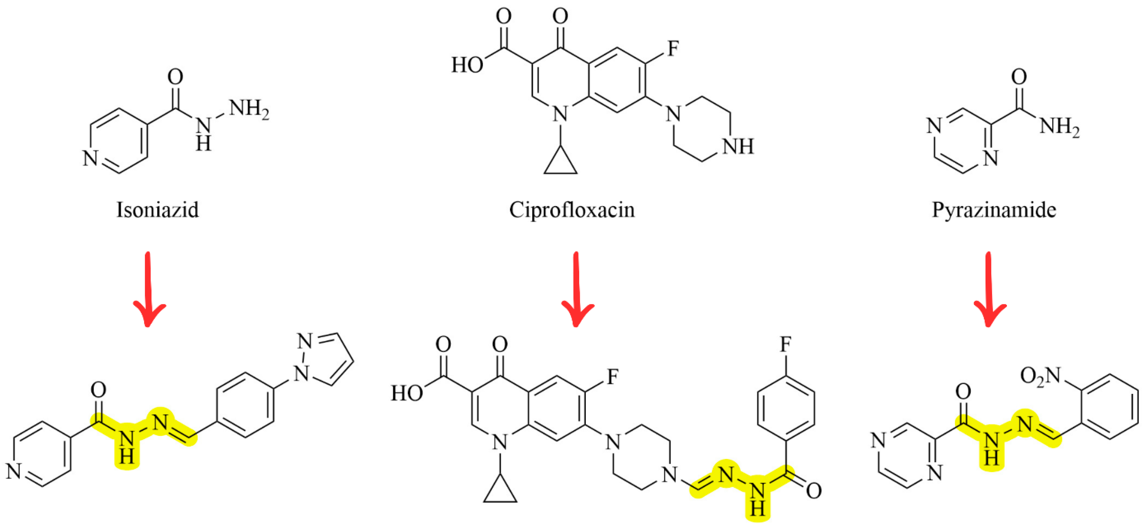 Biomolecules 15 01305 g003 Biomolecules 15 01305 g003
