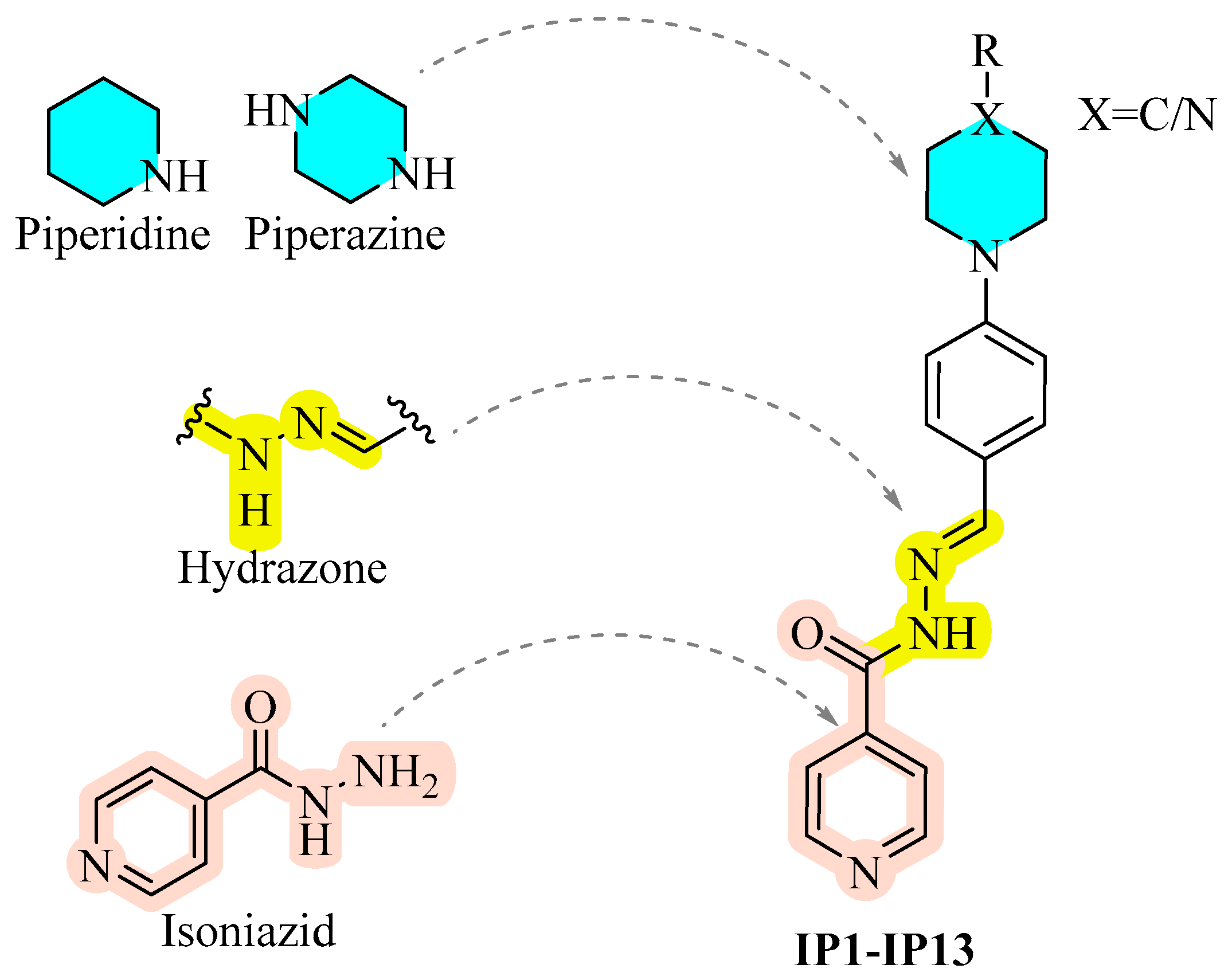 Biomolecules 15 01305 g004 Biomolecules 15 01305 g004