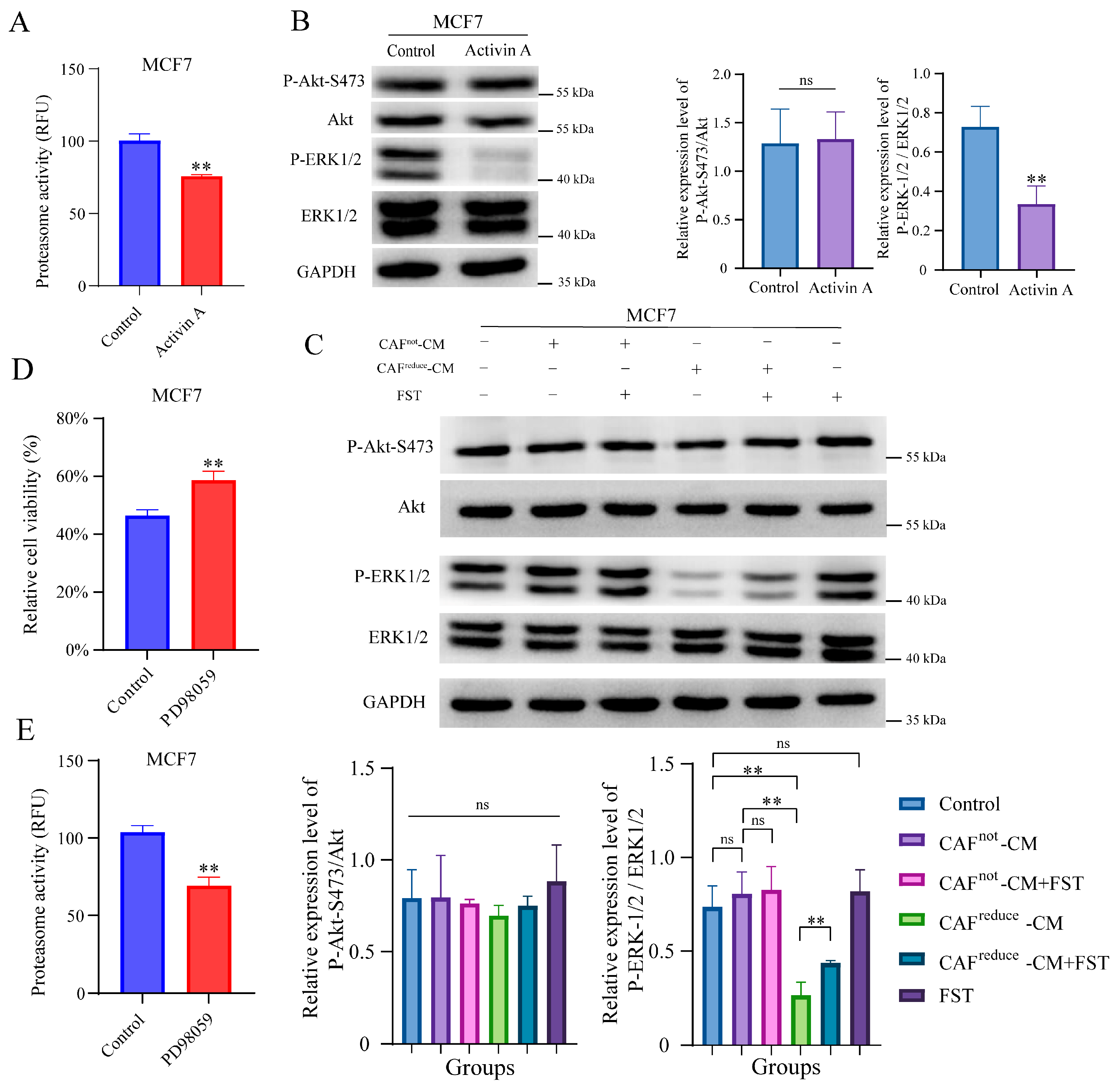 Biomolecules 15 01318 g004