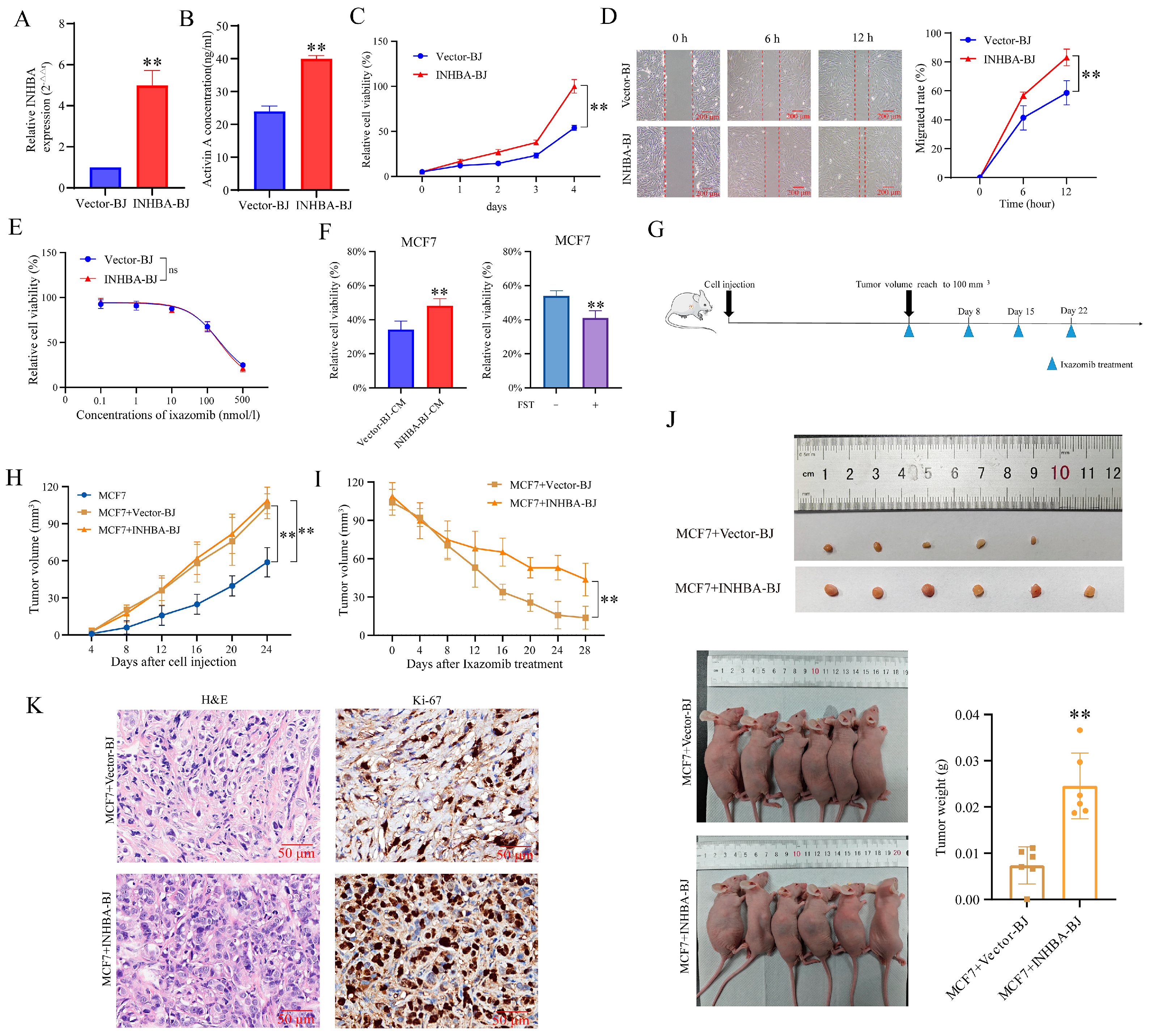 Biomolecules 15 01318 g005