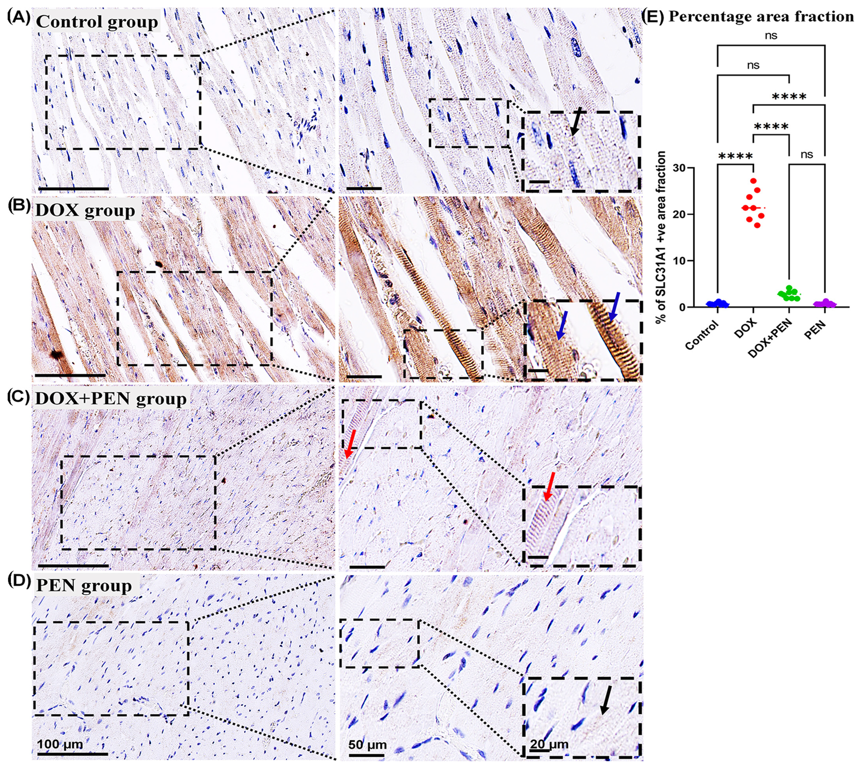 Biomolecules 15 01320 g007