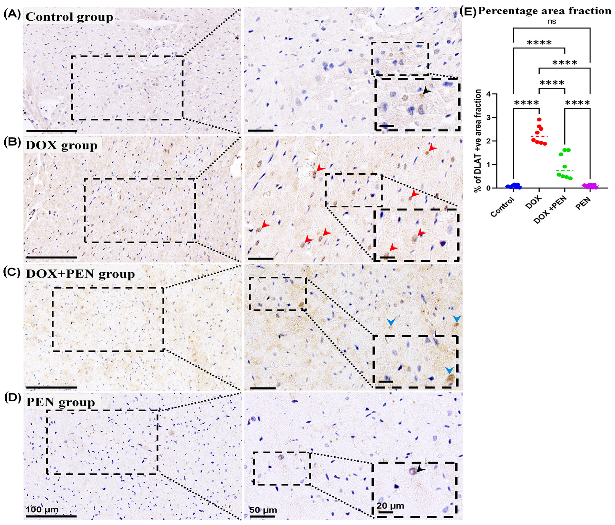 Biomolecules 15 01320 g009