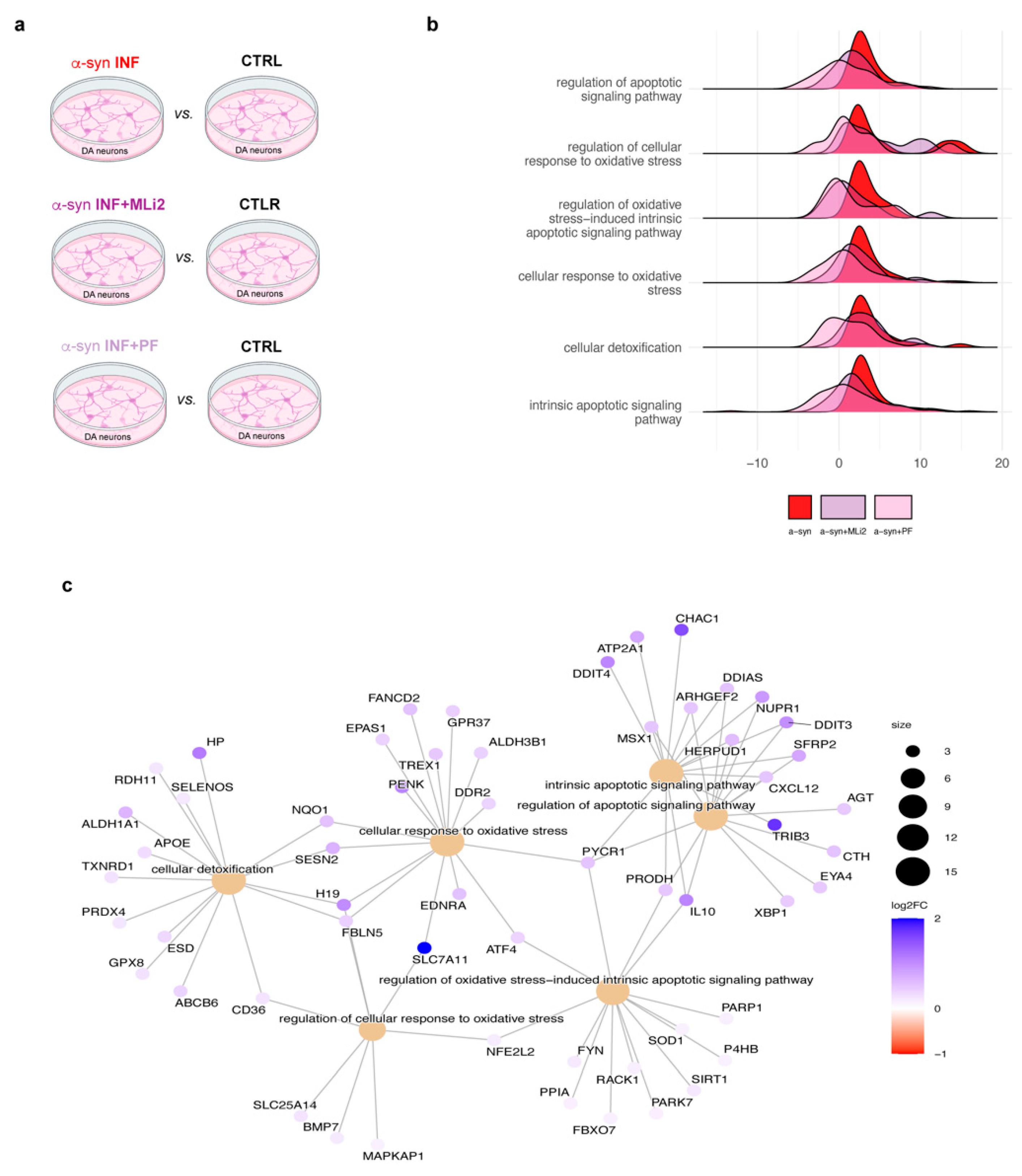 Biomolecules 15 01322 g002 Biomolecules 15 01322 g002