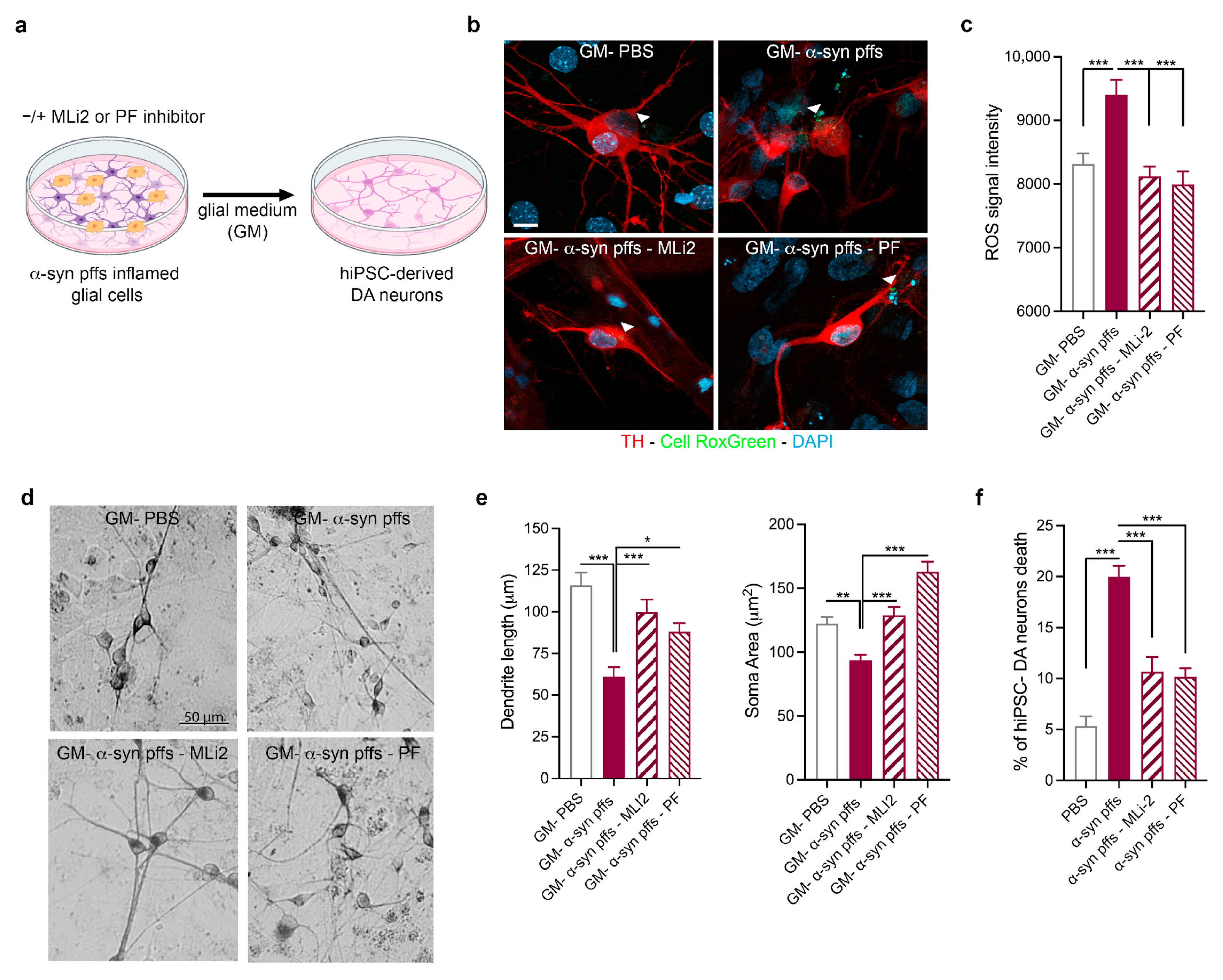 Biomolecules 15 01322 g004 Biomolecules 15 01322 g004