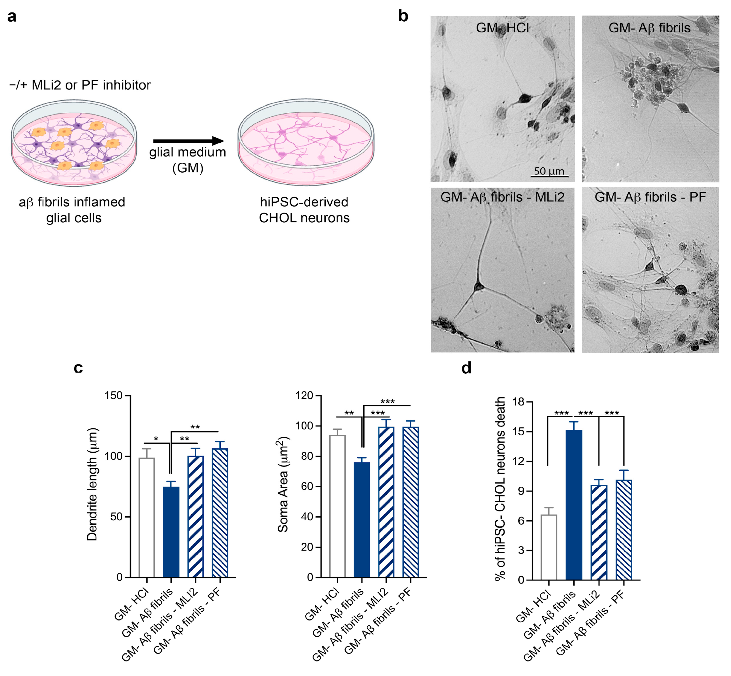 Biomolecules 15 01322 g005 Biomolecules 15 01322 g005