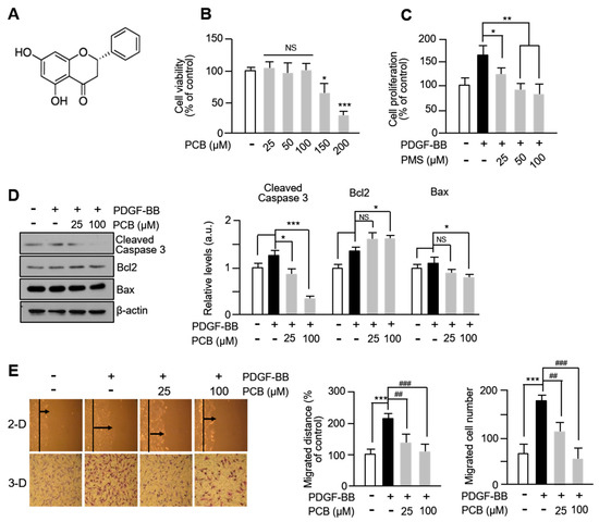 ファン KITACO タービングファン のパーツレビュー | Live Dio ZX