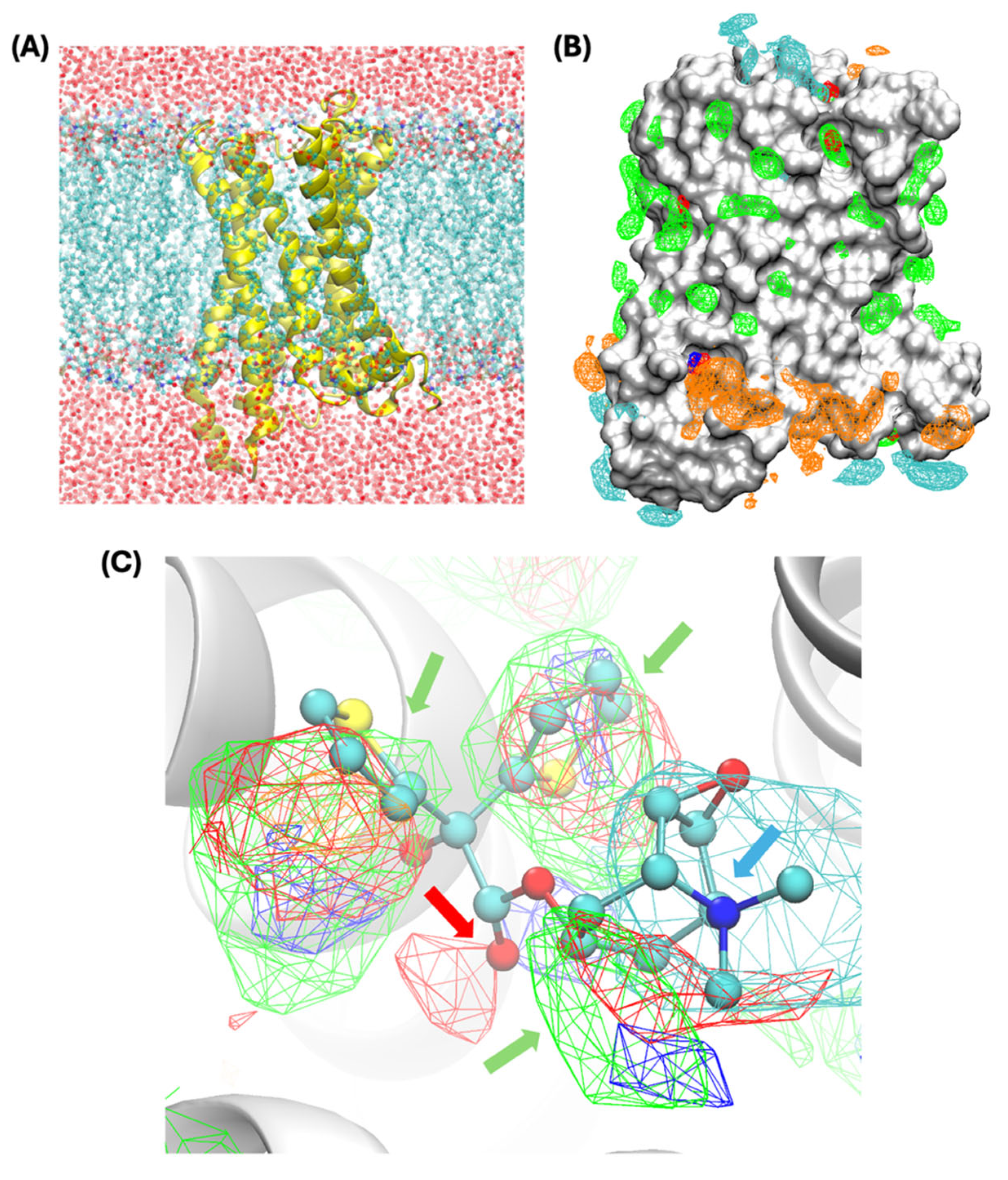 Biomolecules 15 01326 g001 Biomolecules 15 01326 g001