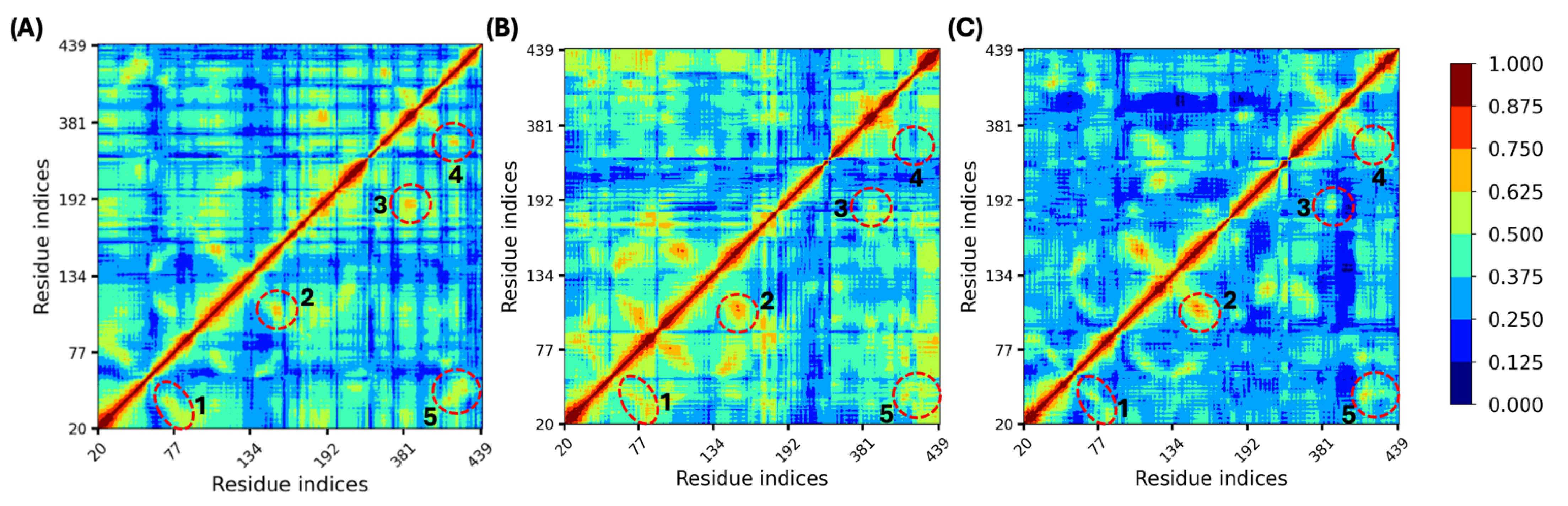 Biomolecules 15 01326 g007 Biomolecules 15 01326 g007