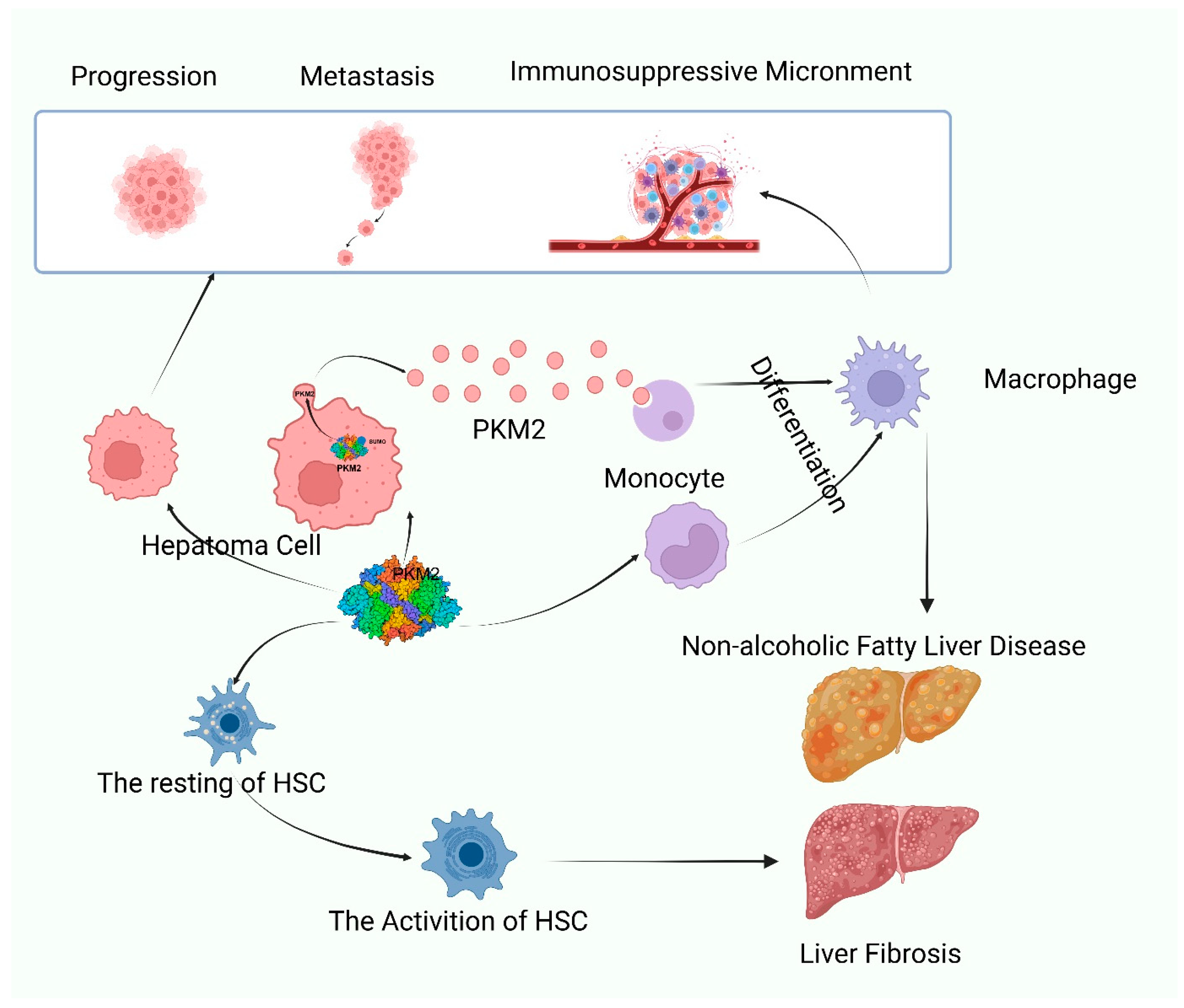 Biomolecules 15 01327 g002 Biomolecules 15 01327 g002