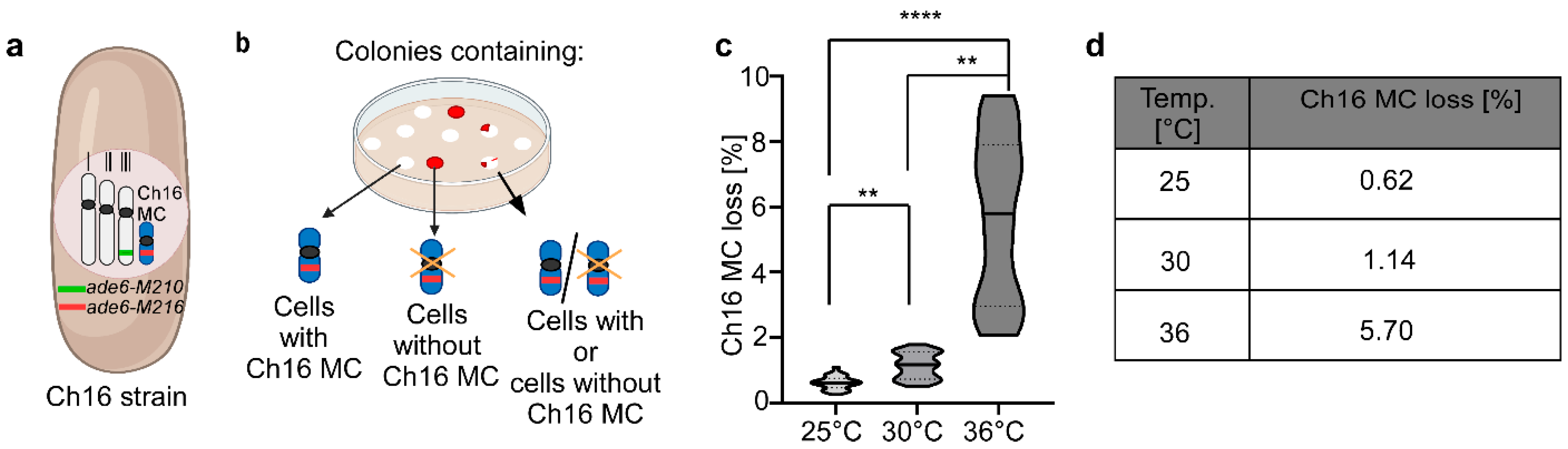 Biomolecules 15 01331 g001 Biomolecules 15 01331 g001