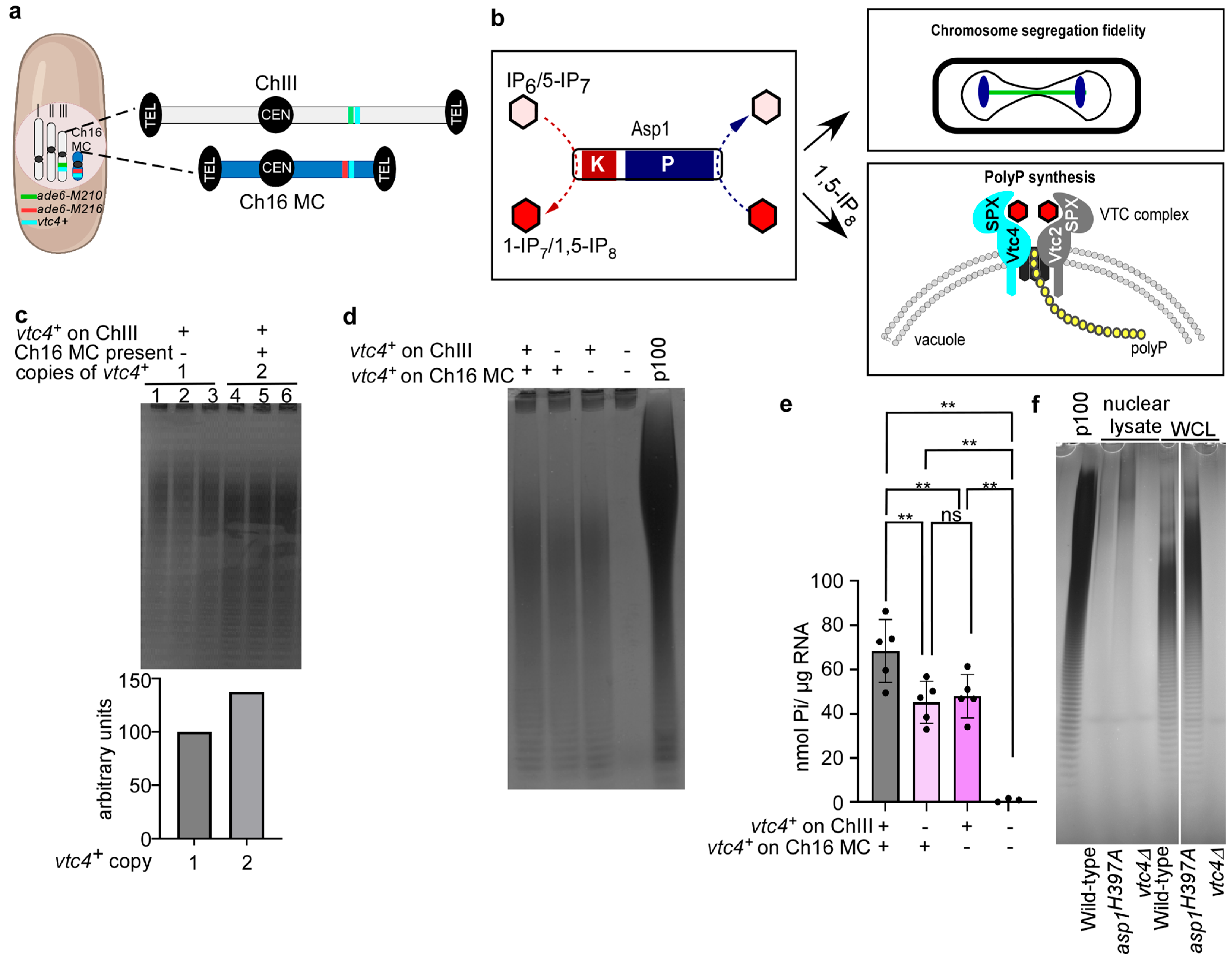 Biomolecules 15 01331 g002 Biomolecules 15 01331 g002