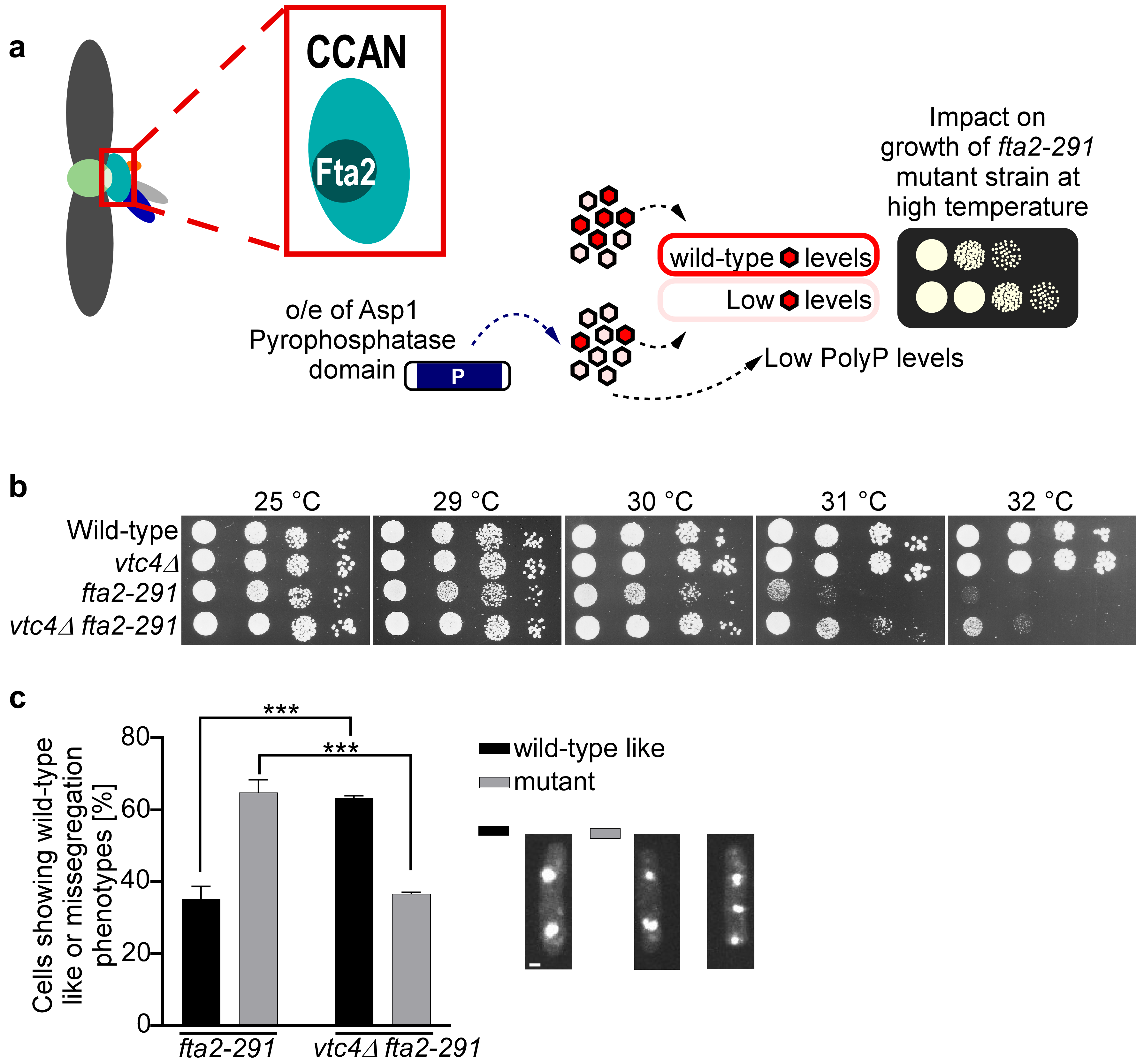 Biomolecules 15 01331 g004 Biomolecules 15 01331 g004