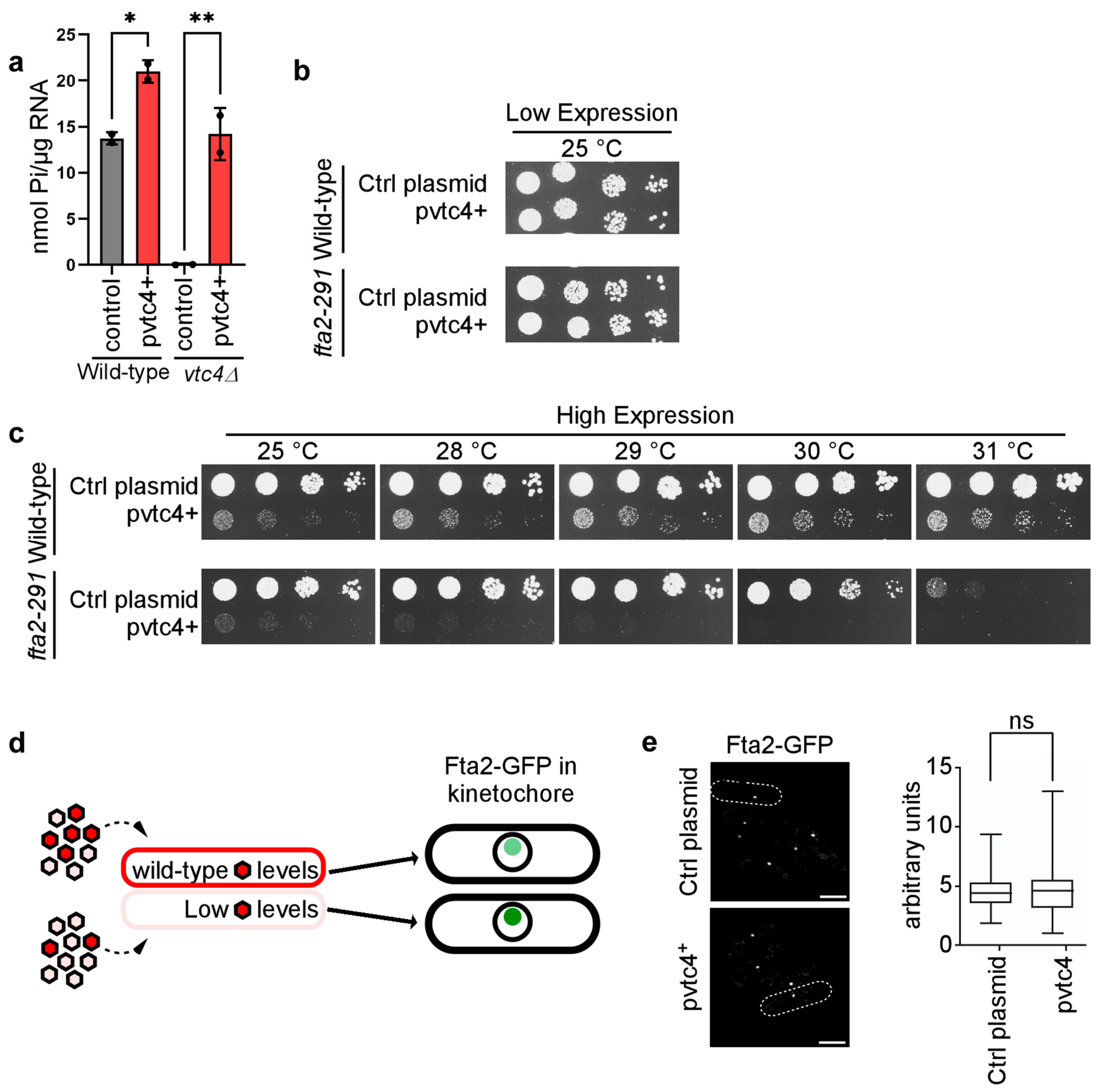 Biomolecules 15 01331 g005 Biomolecules 15 01331 g005