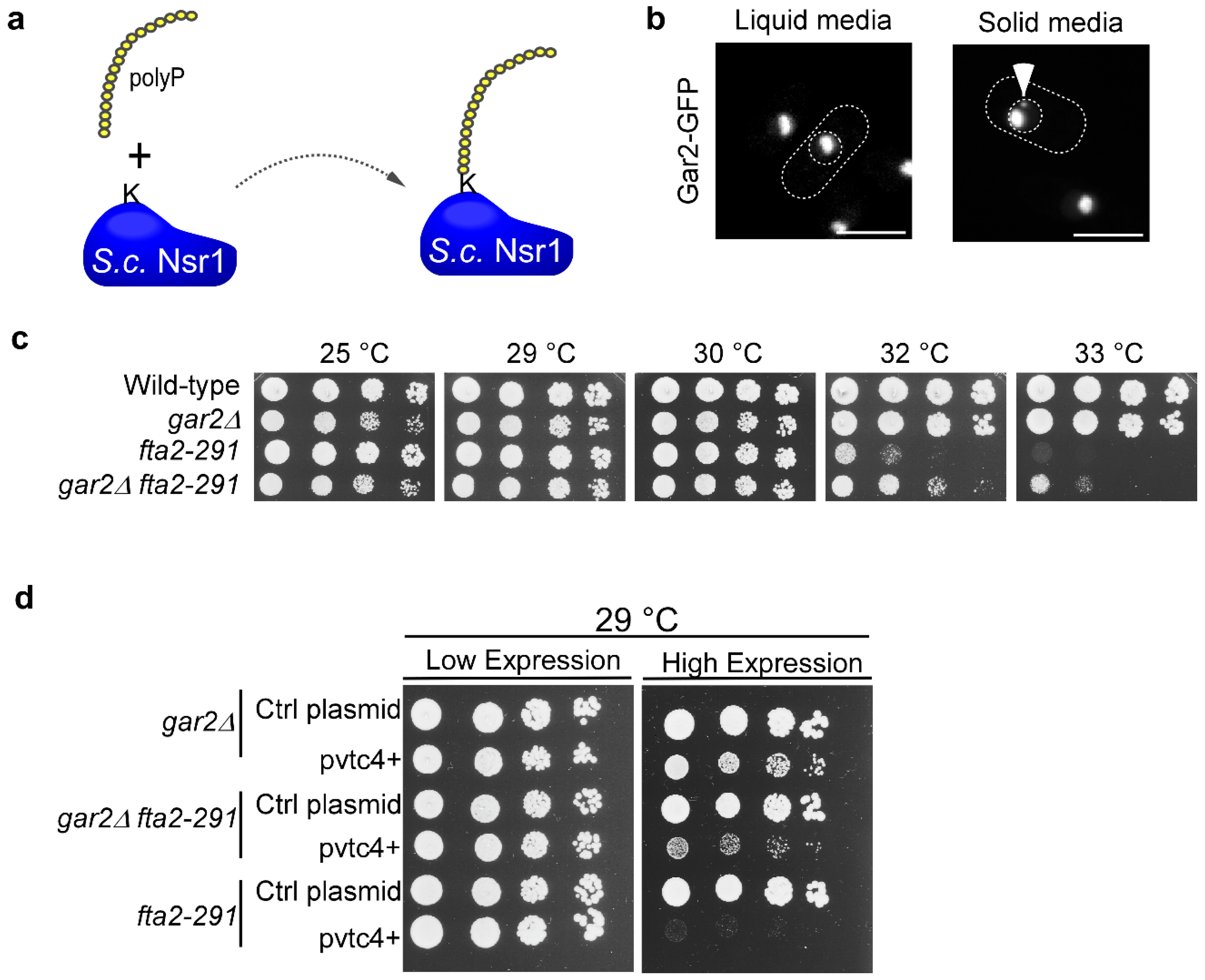 Biomolecules 15 01331 g006 Biomolecules 15 01331 g006