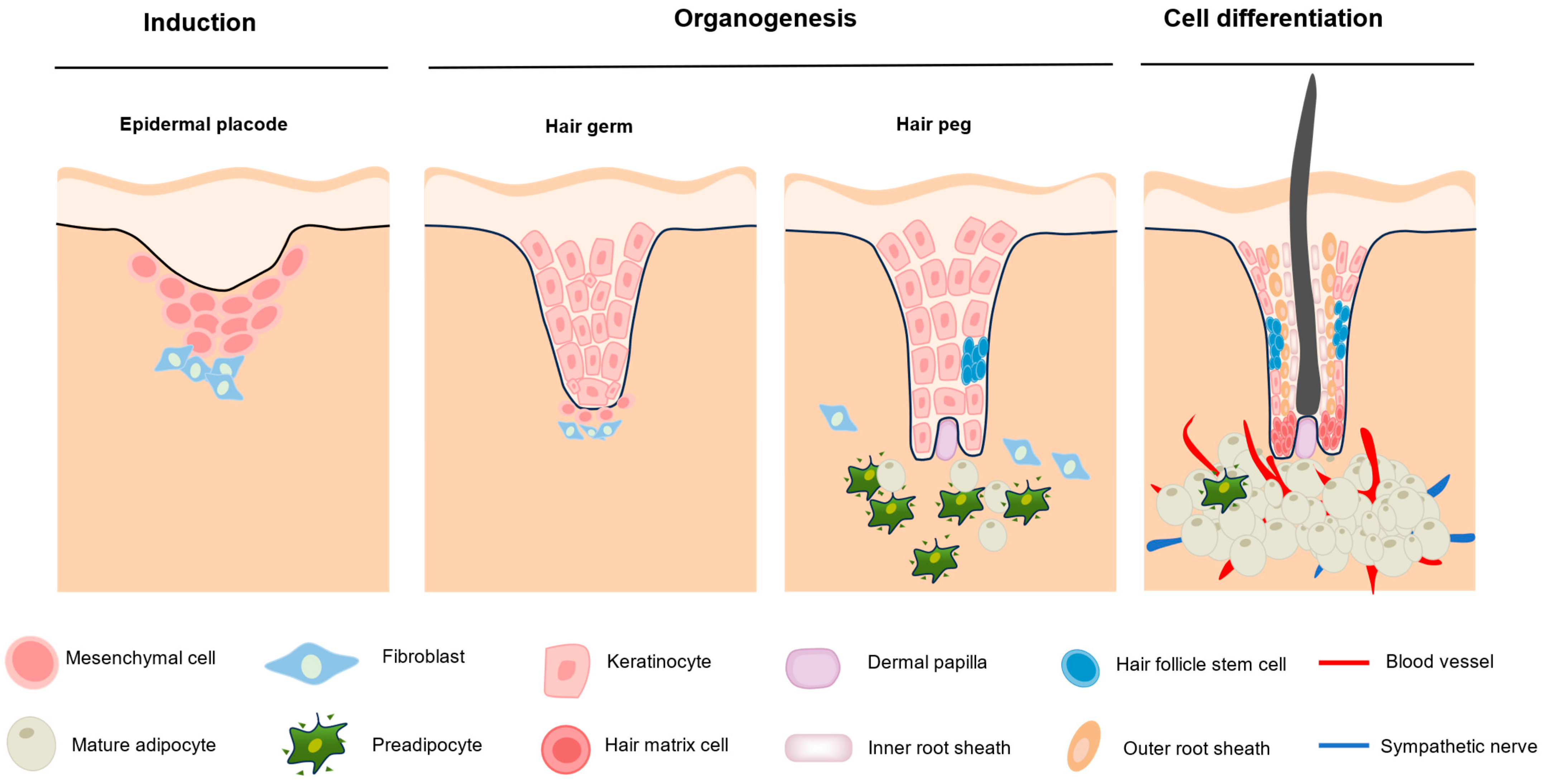 Biomolecules 15 01335 g001 Biomolecules 15 01335 g001