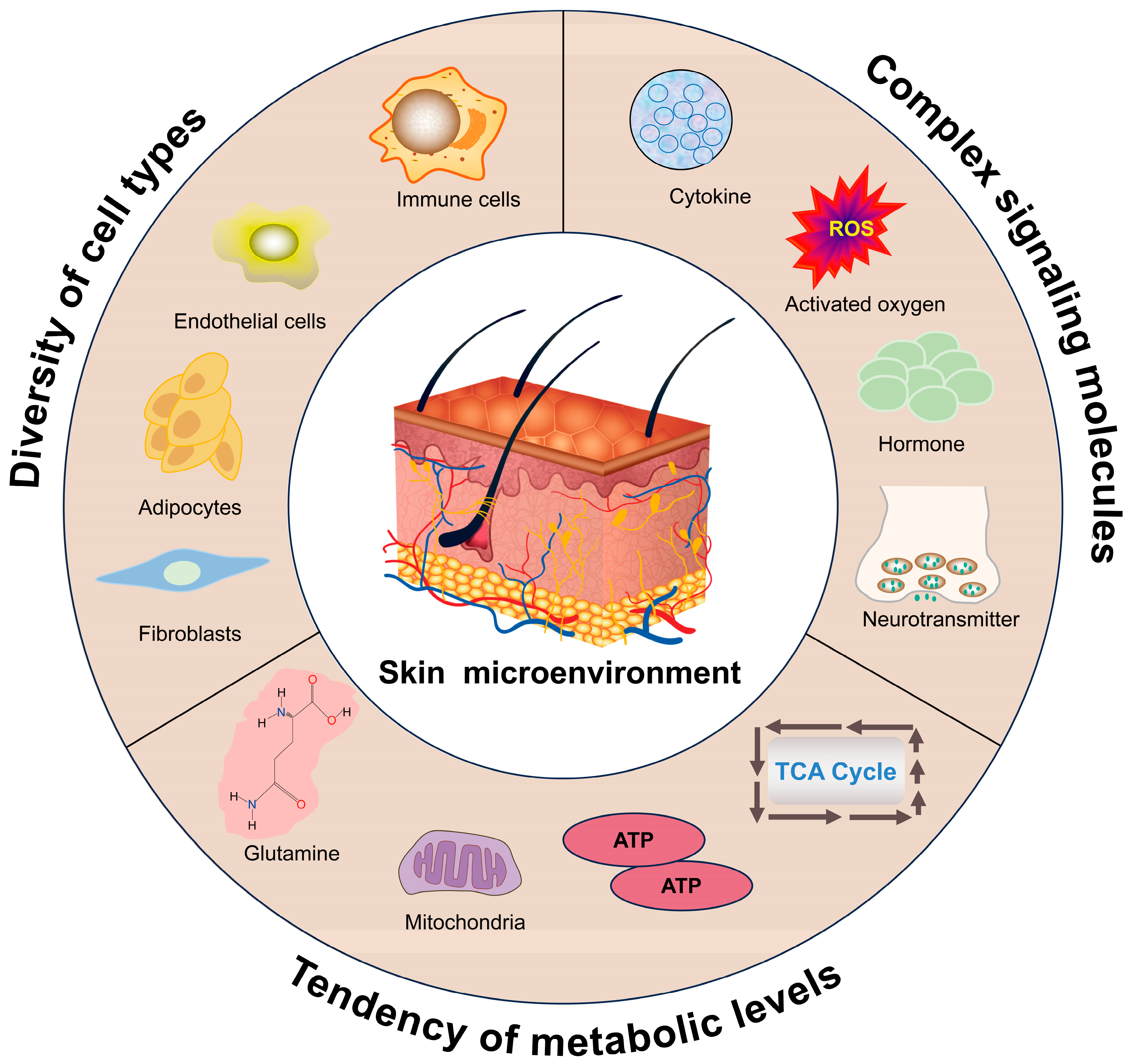 Biomolecules 15 01335 g002 Biomolecules 15 01335 g002
