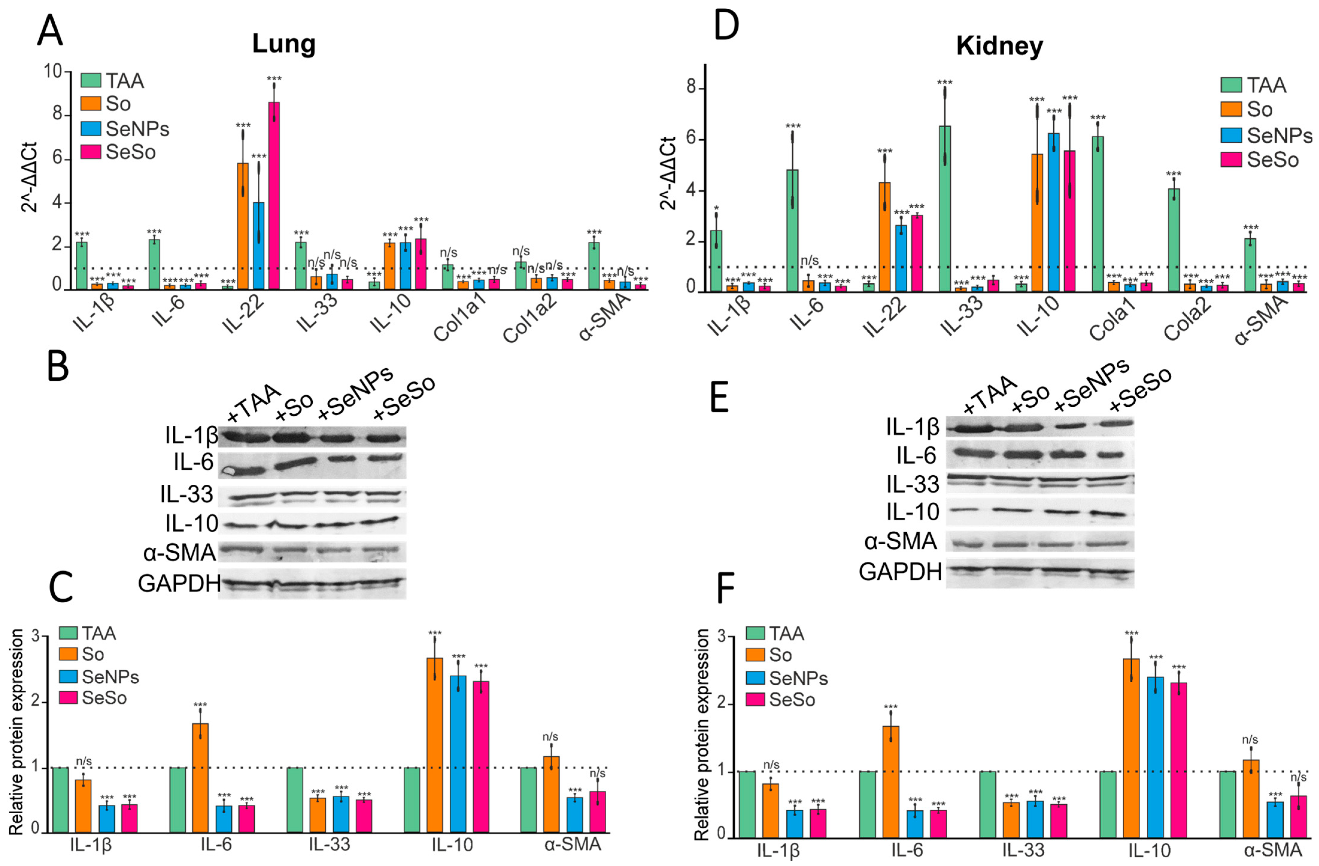 Biomolecules 15 01336 g003