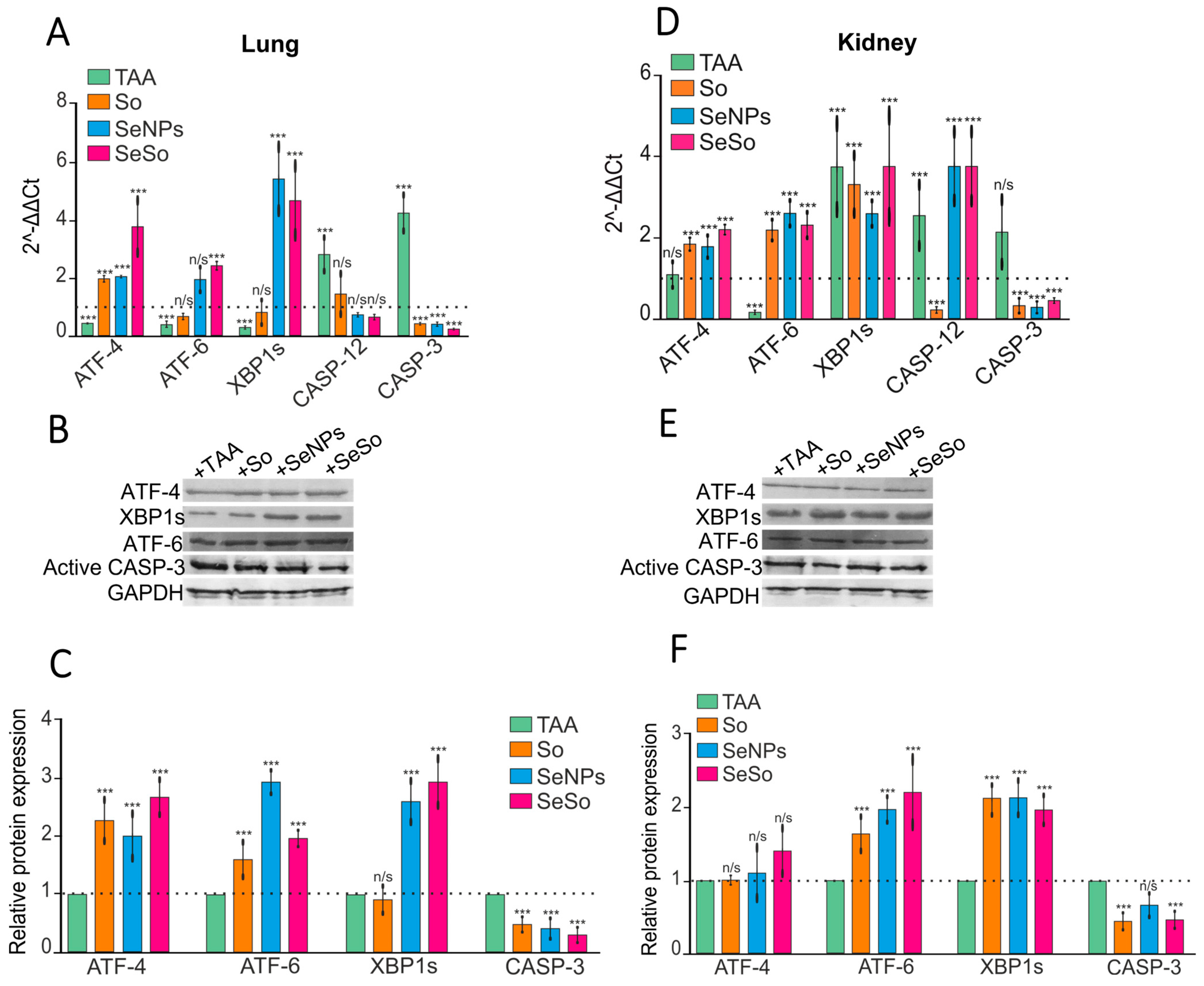 Biomolecules 15 01336 g004