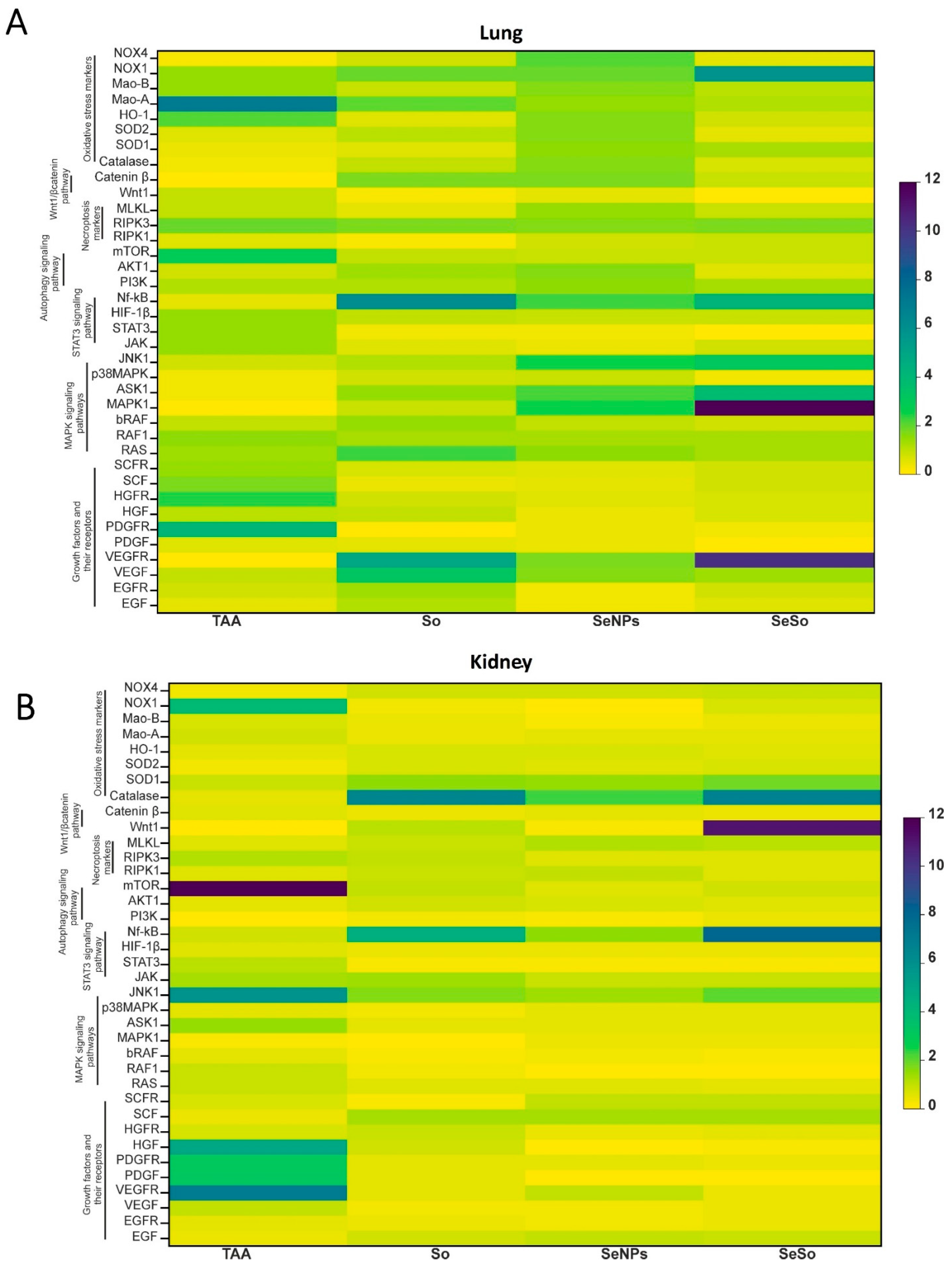 Biomolecules 15 01336 g005
