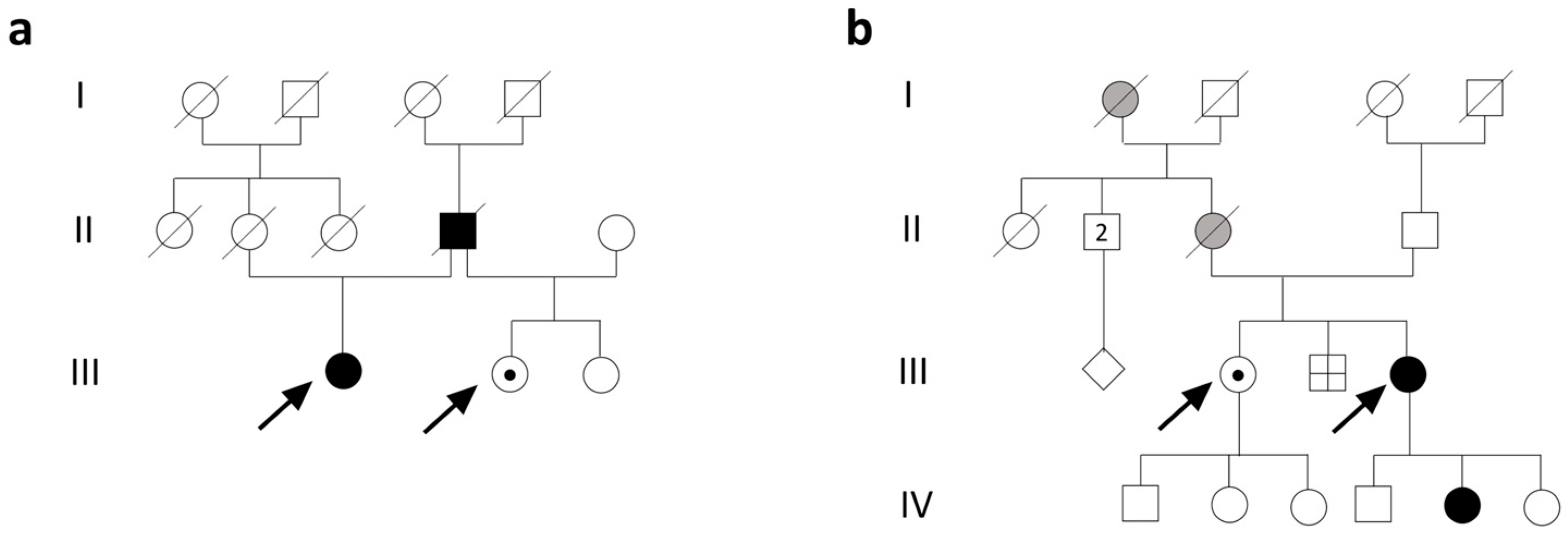 Biomolecules 15 01337 g001