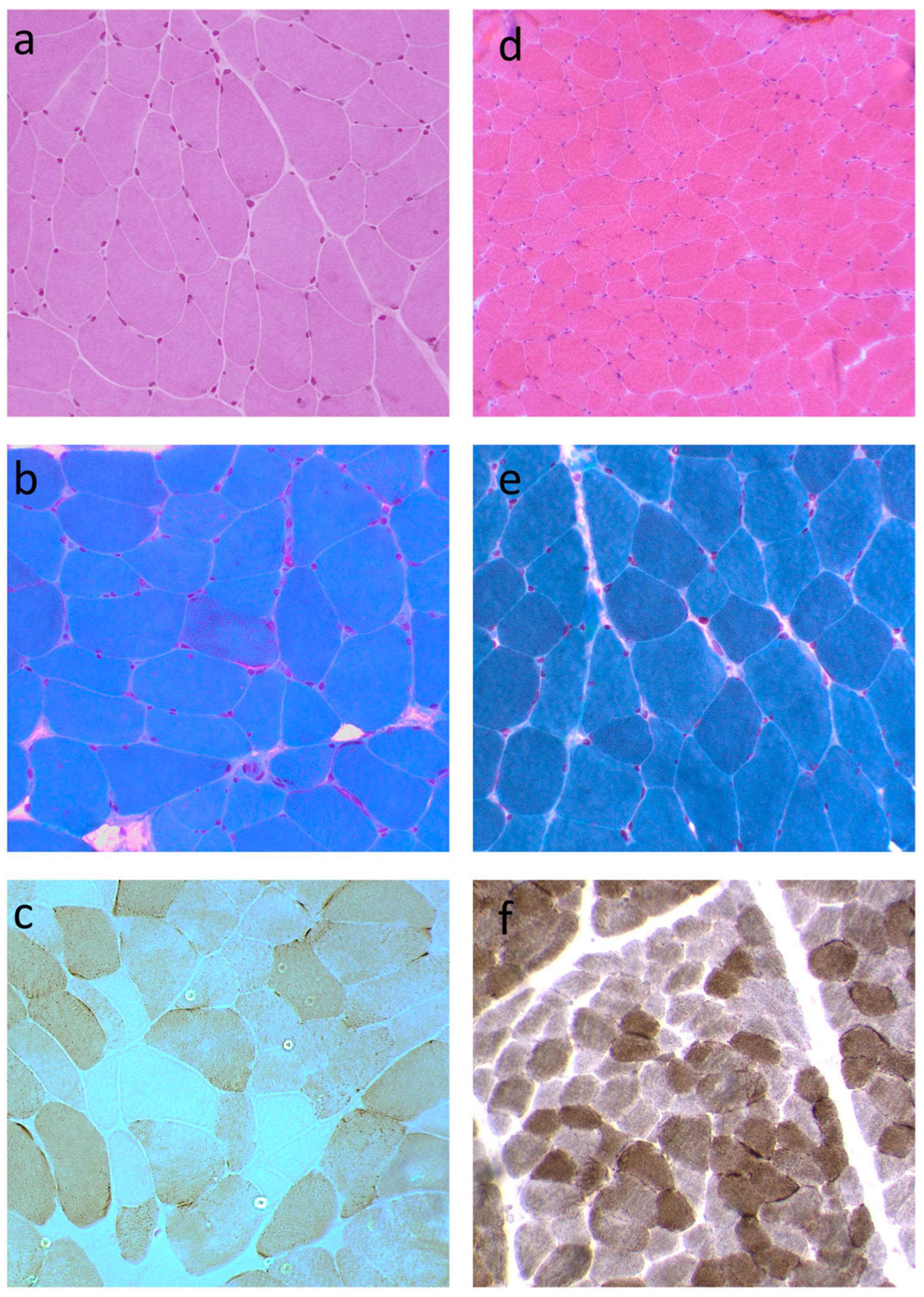Biomolecules 15 01337 g002