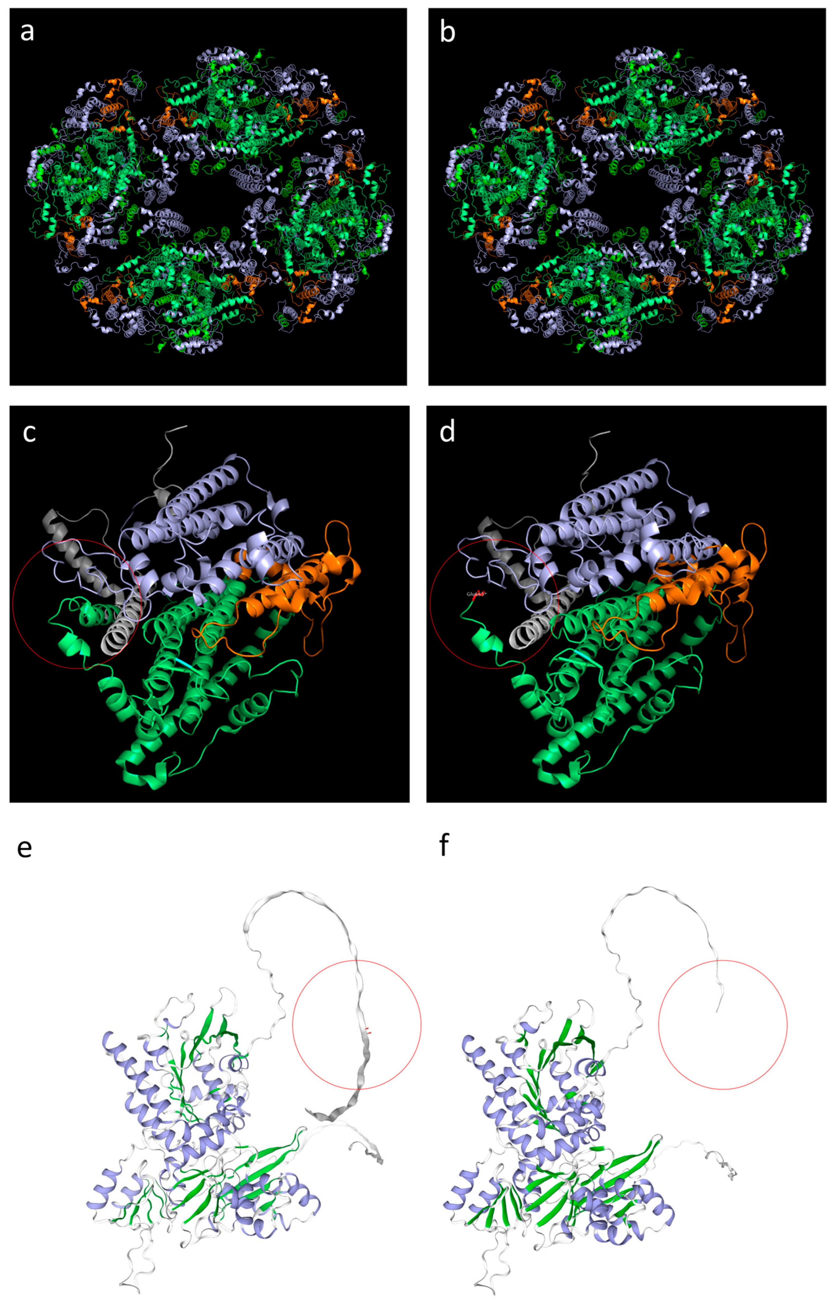Biomolecules 15 01337 g004