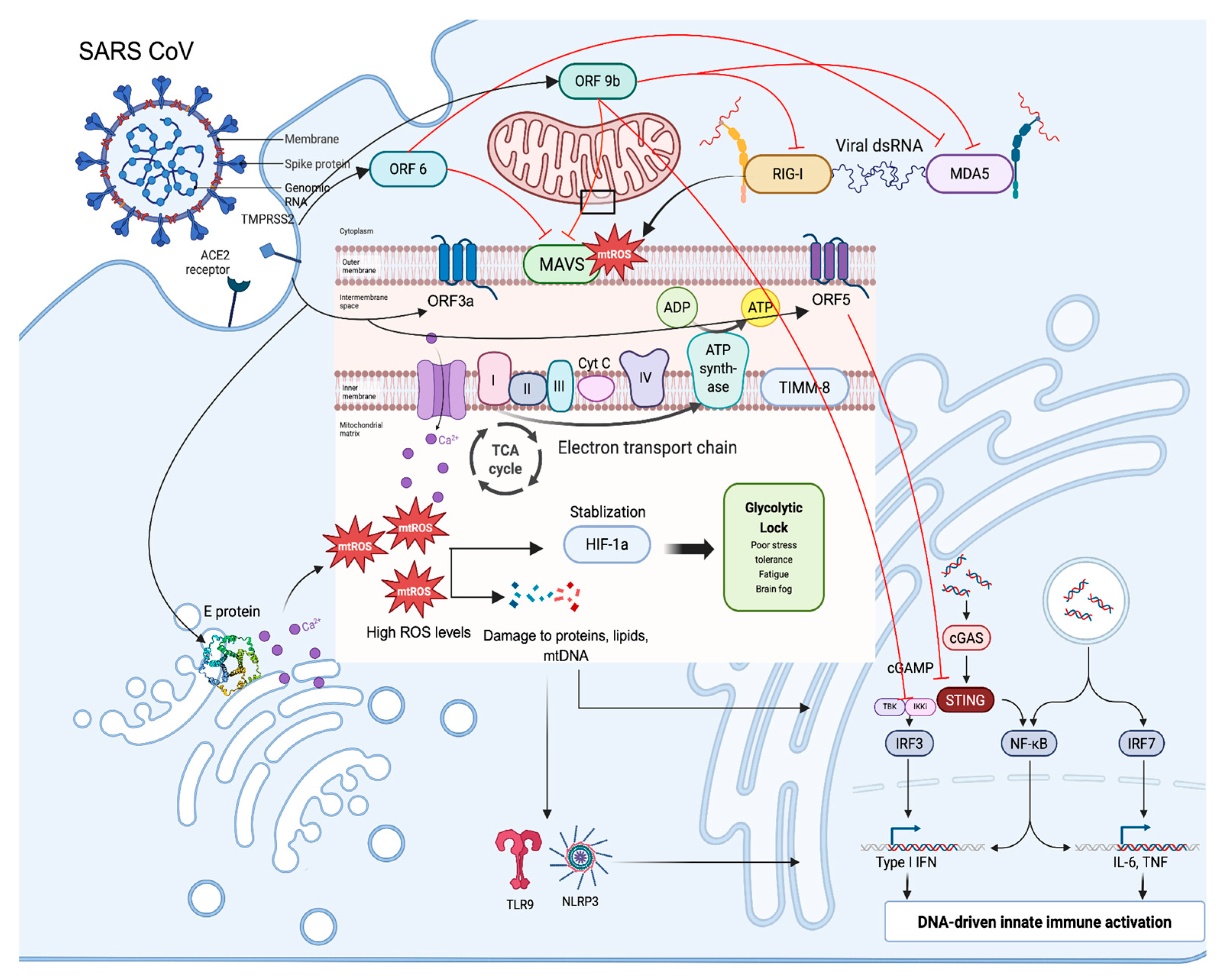 Biomolecules 15 01339 g001