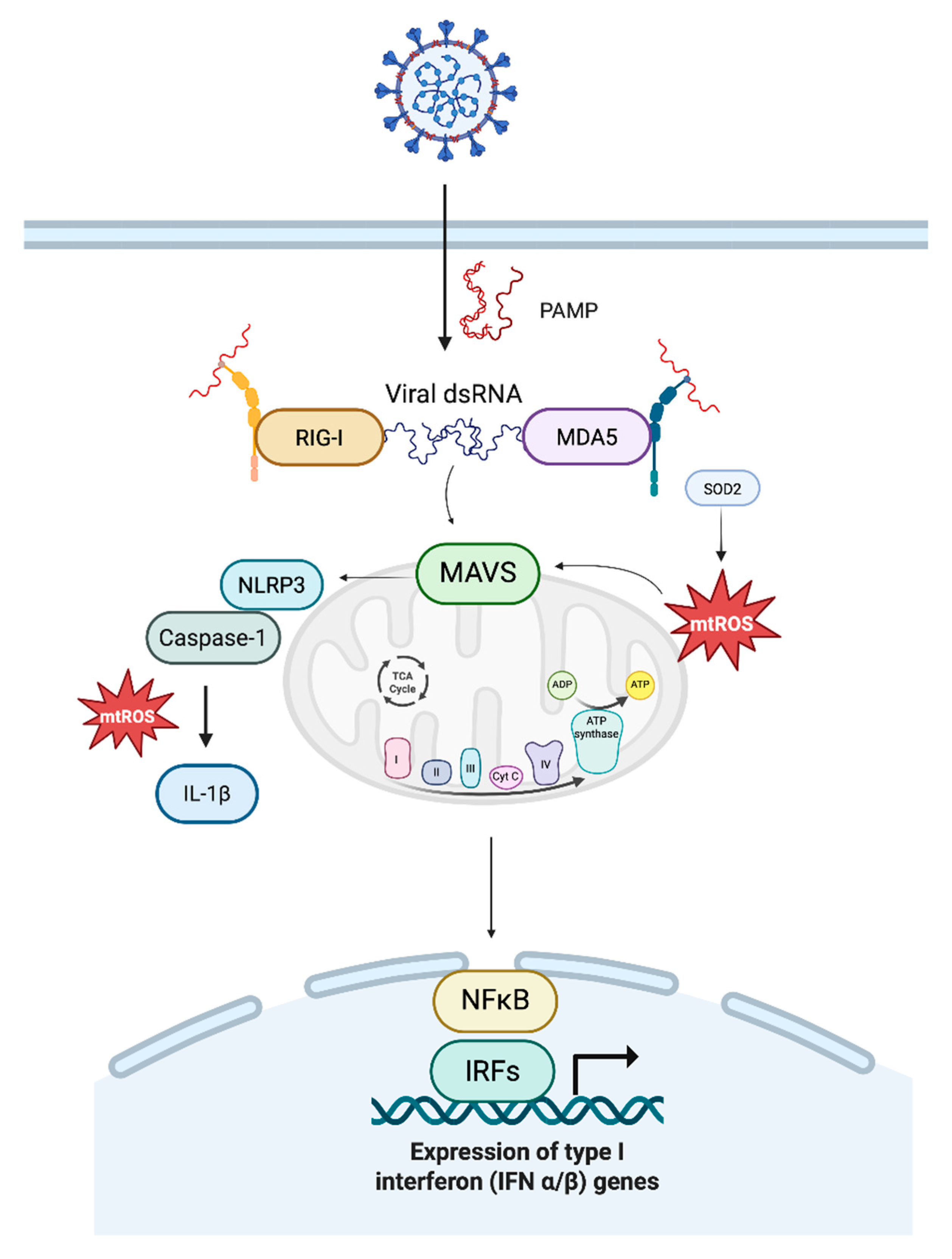 Biomolecules 15 01339 g002