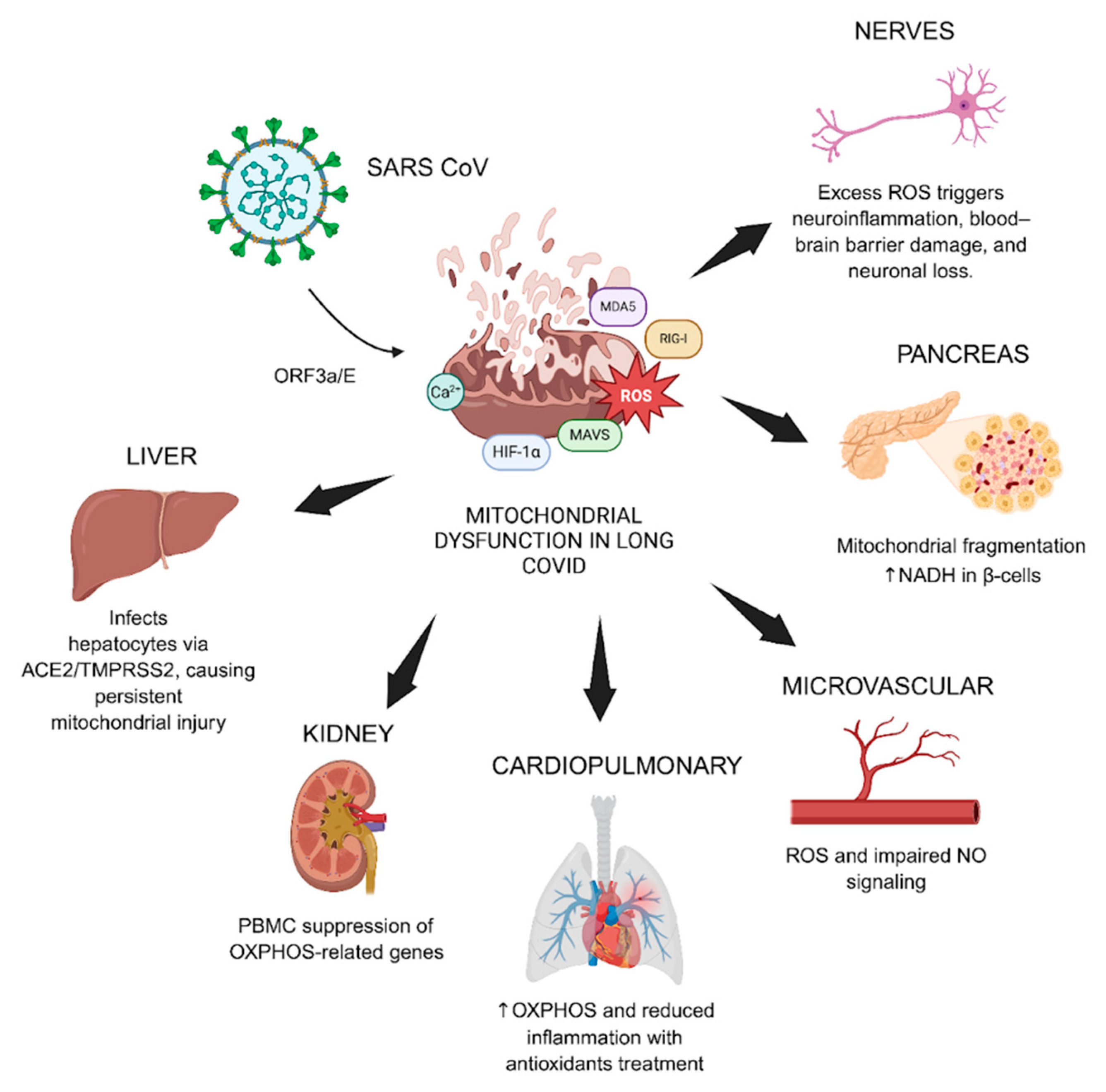 Biomolecules 15 01339 g003