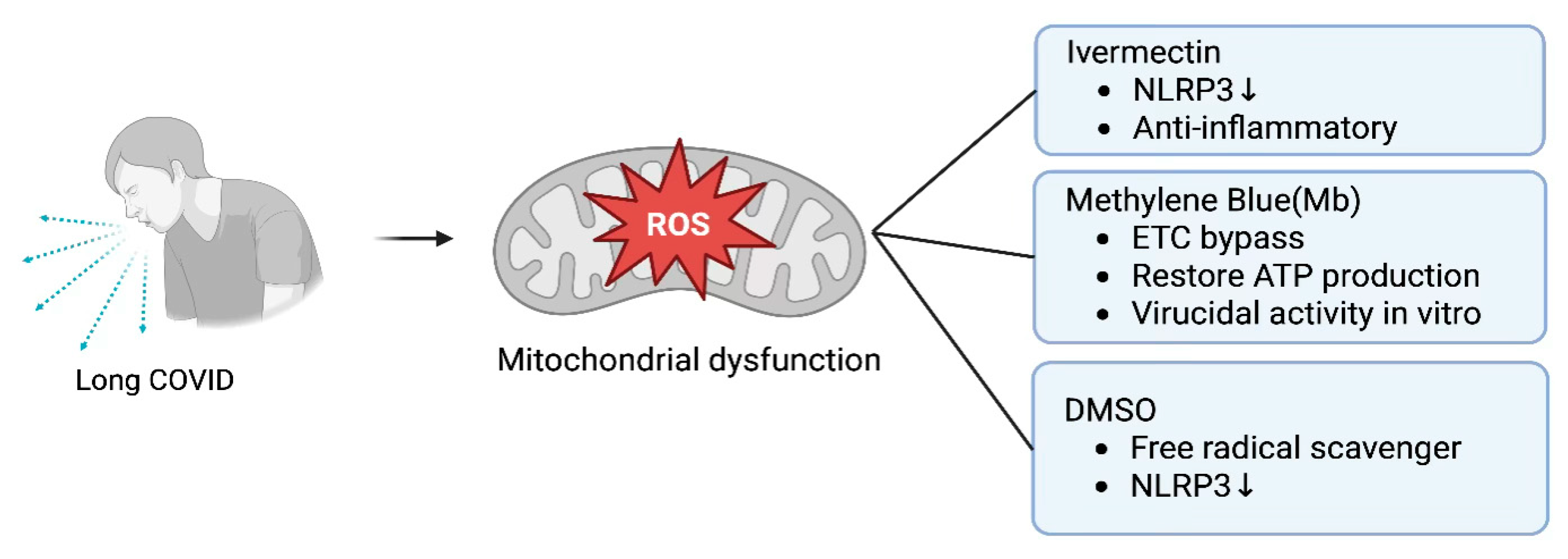 Biomolecules 15 01339 g005