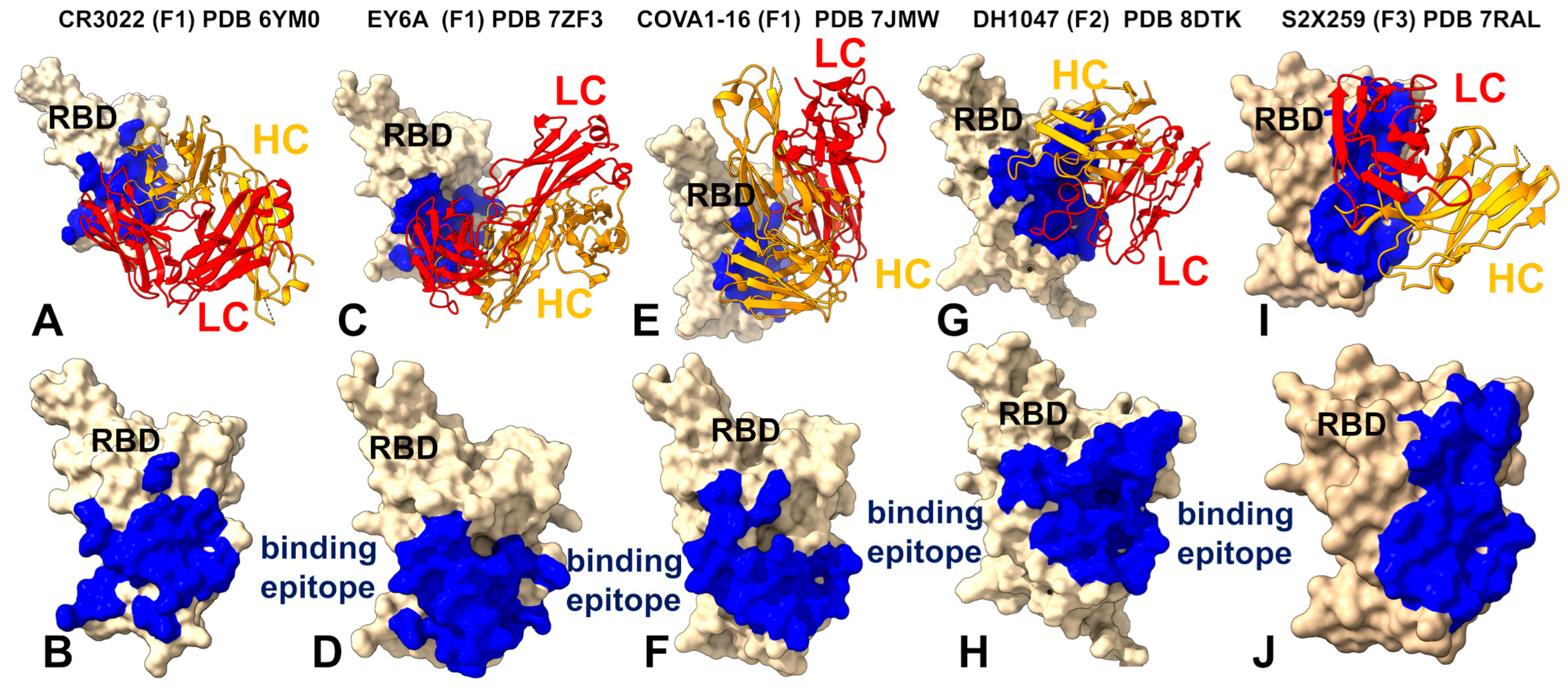 Biomolecules 15 01340 g001