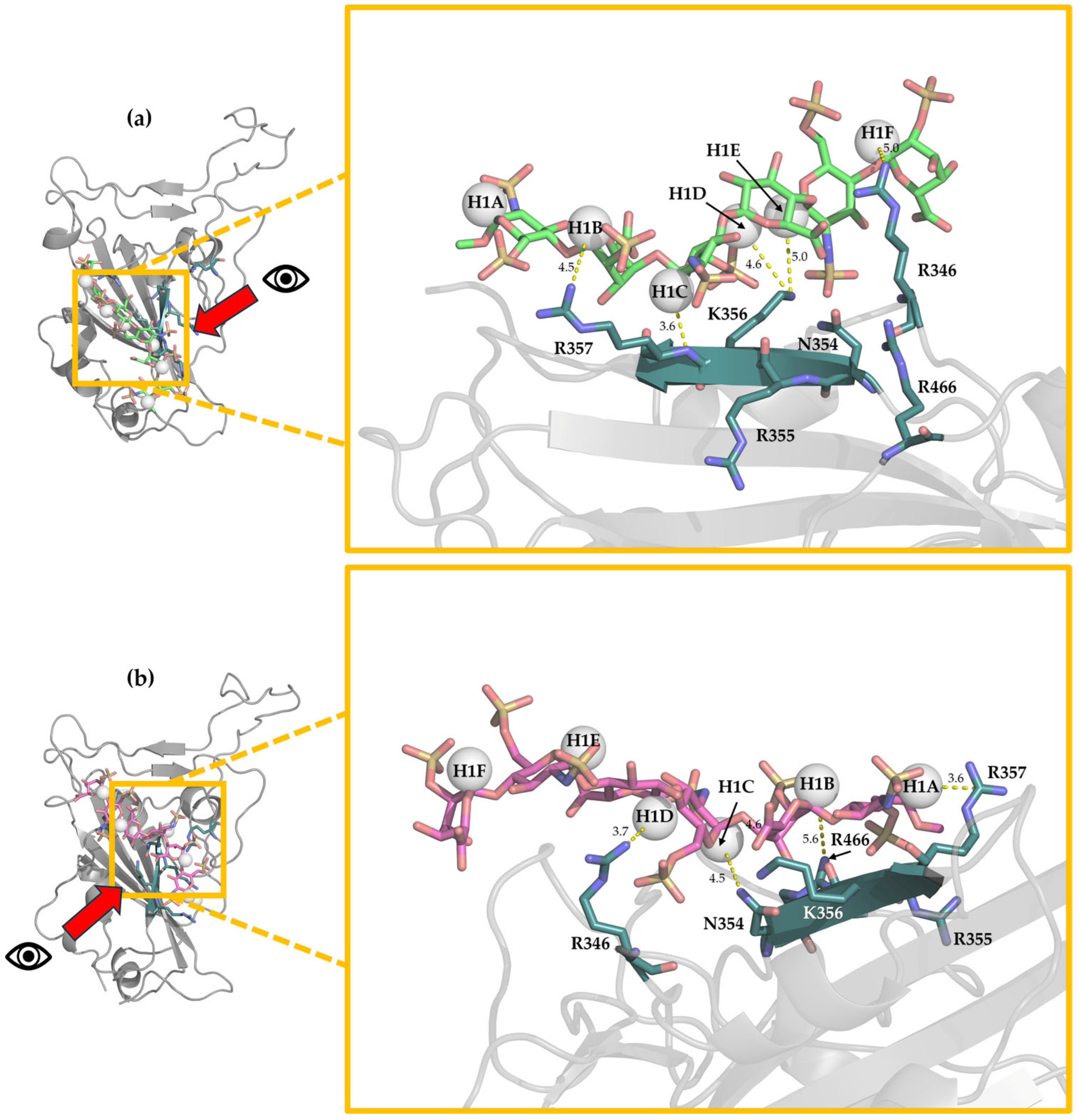 Biomolecules 15 01343 g008