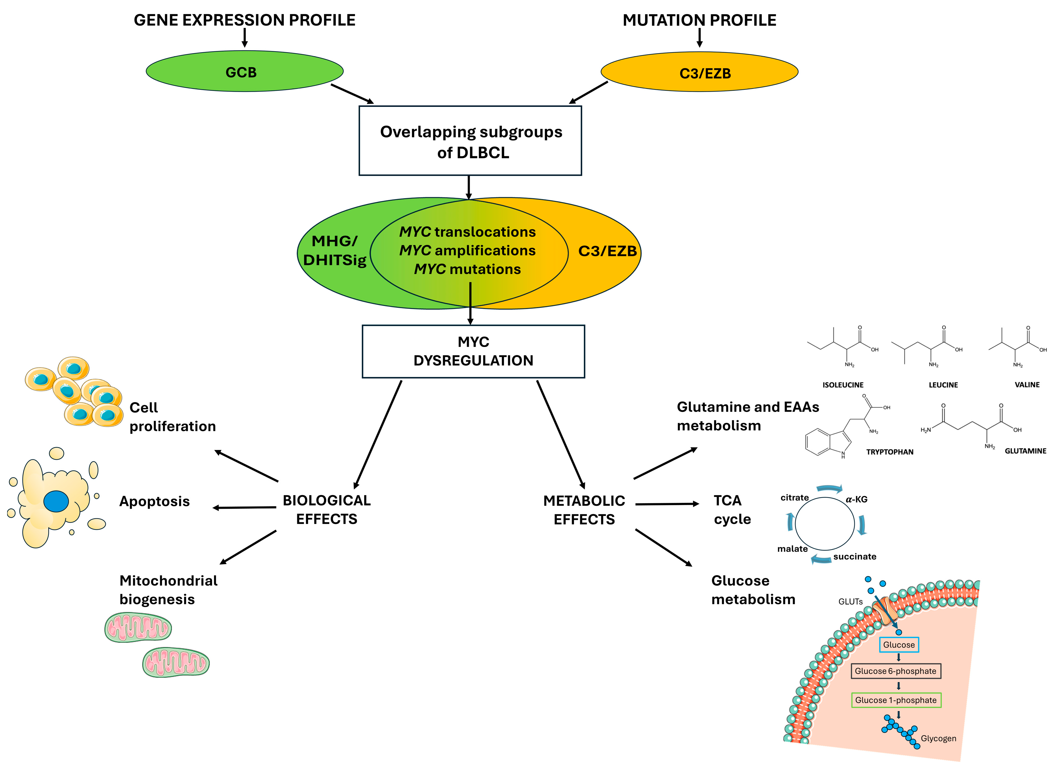 Biomolecules 15 01346 g001