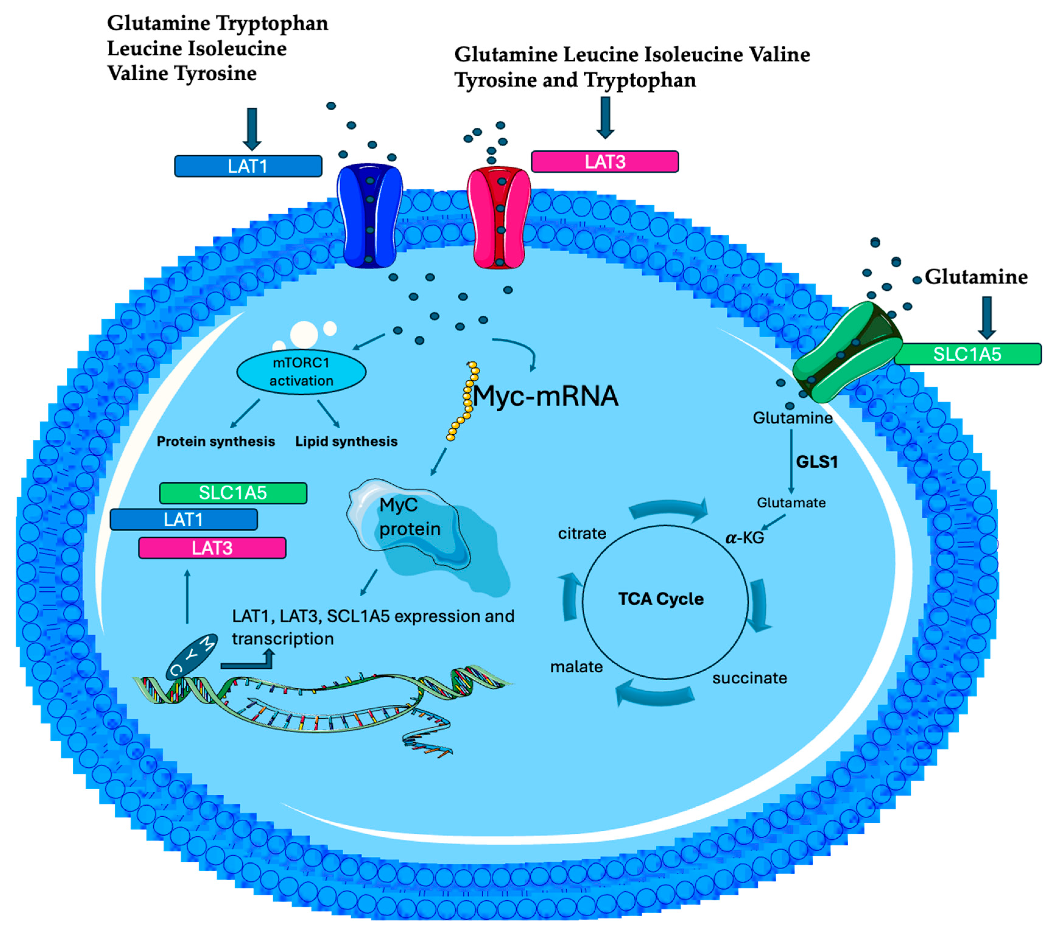 Biomolecules 15 01346 g002