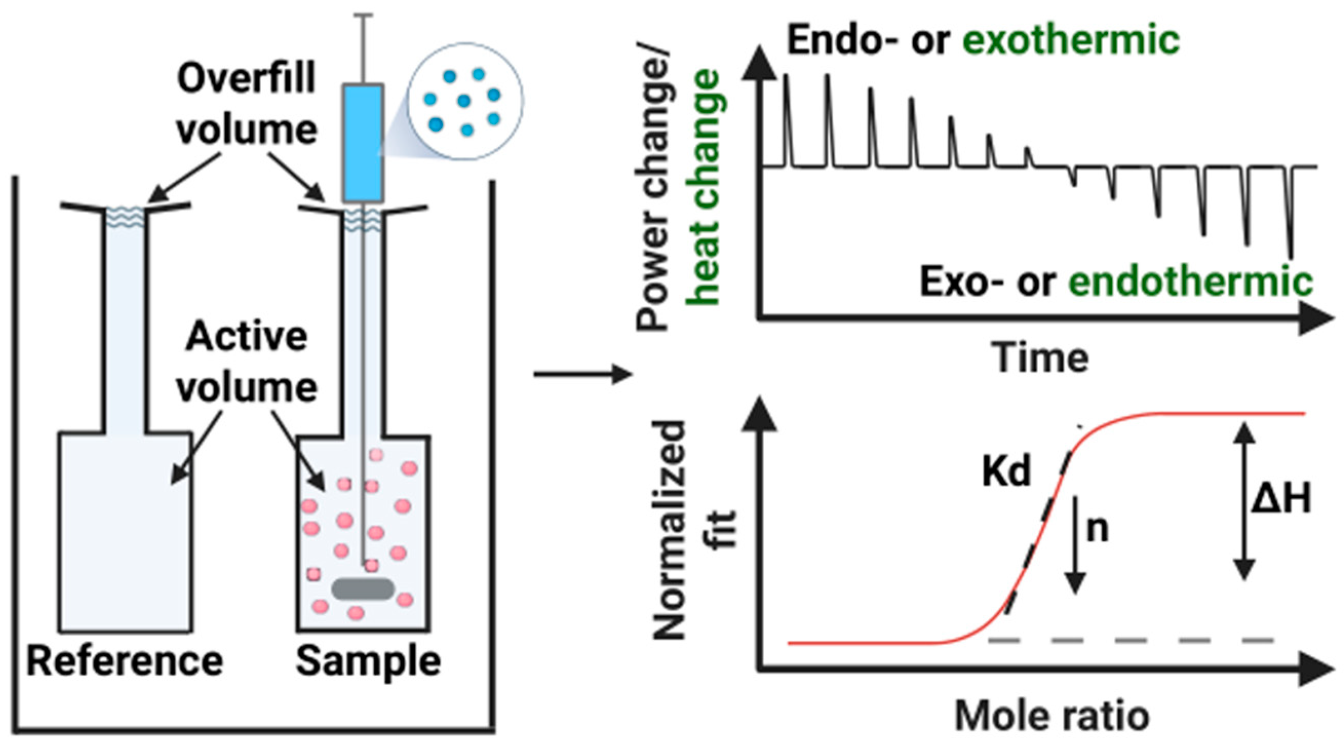 Biomolecules 15 01349 g001 Biomolecules 15 01349 g001