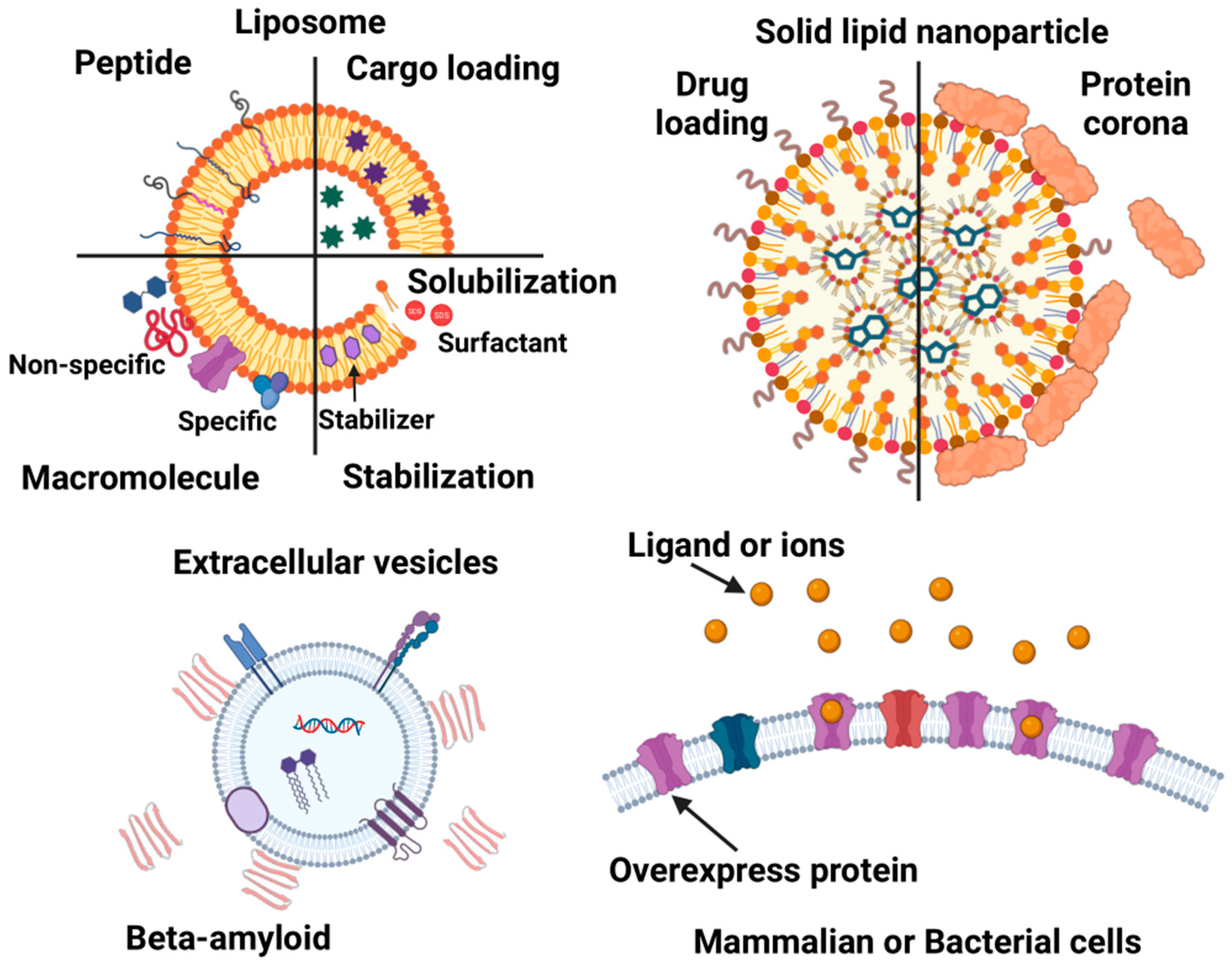 Biomolecules 15 01349 g004 Biomolecules 15 01349 g004