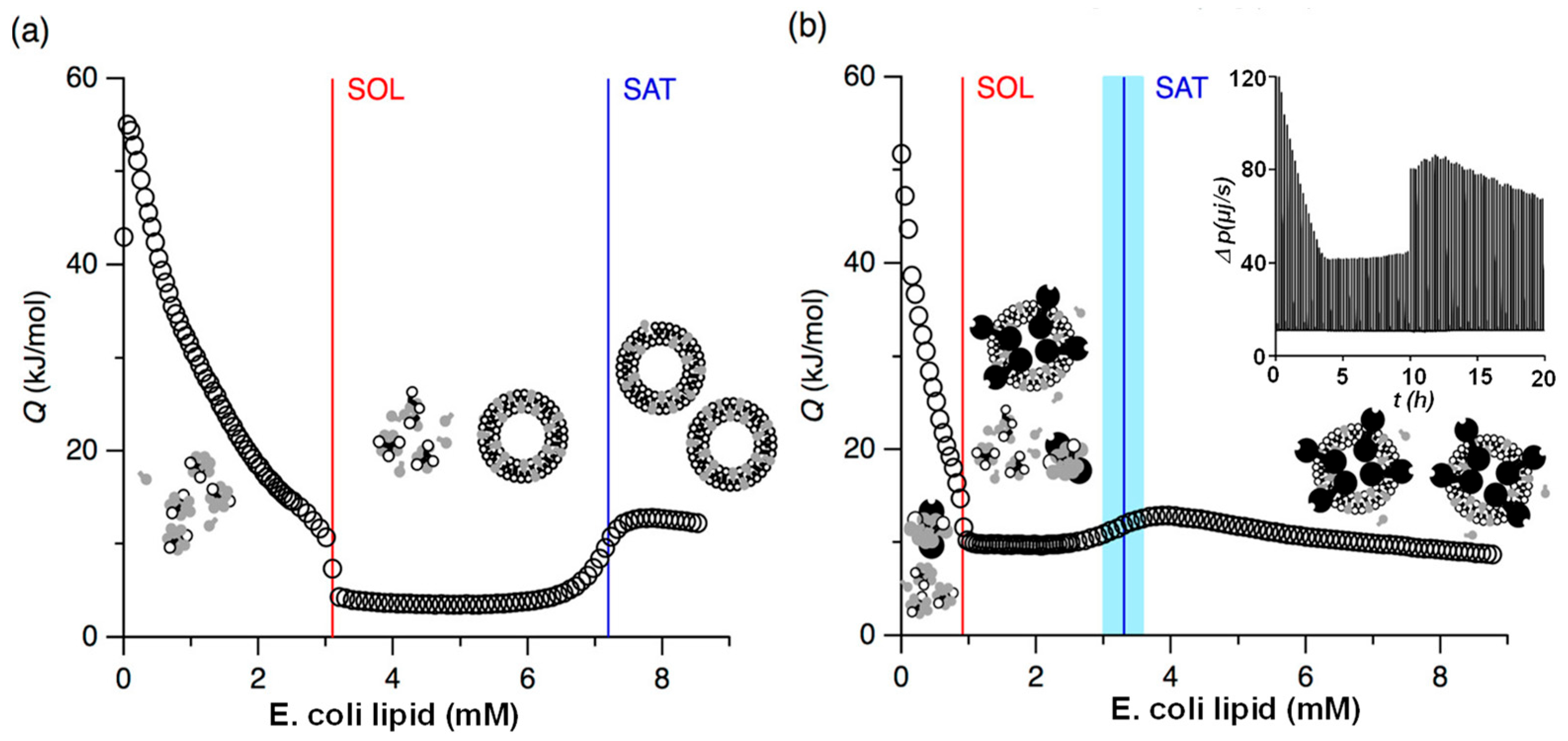 Biomolecules 15 01349 g008 Biomolecules 15 01349 g008