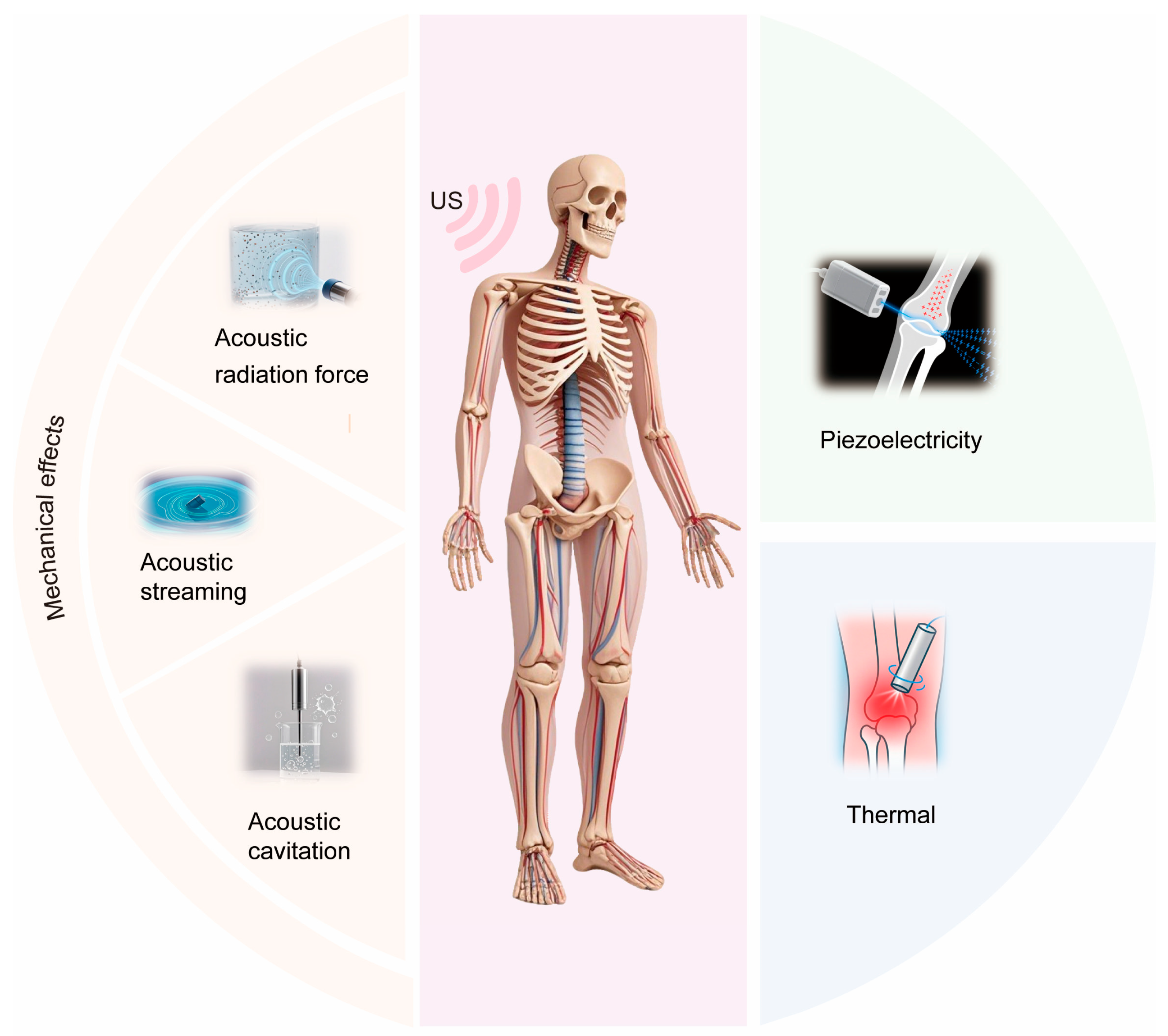 Biomolecules 15 01351 g005 Biomolecules 15 01351 g005