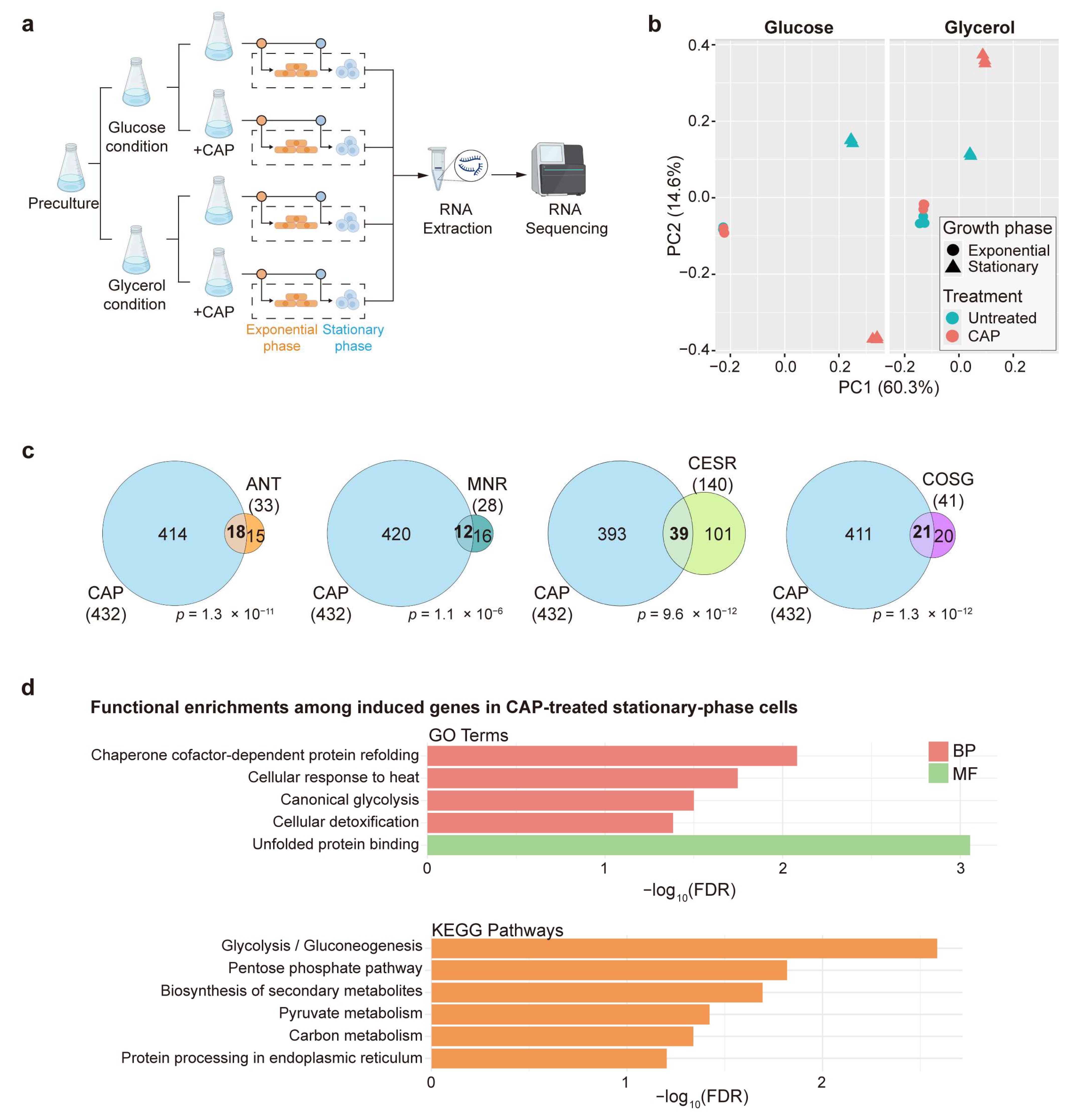 Biomolecules 15 01354 g001