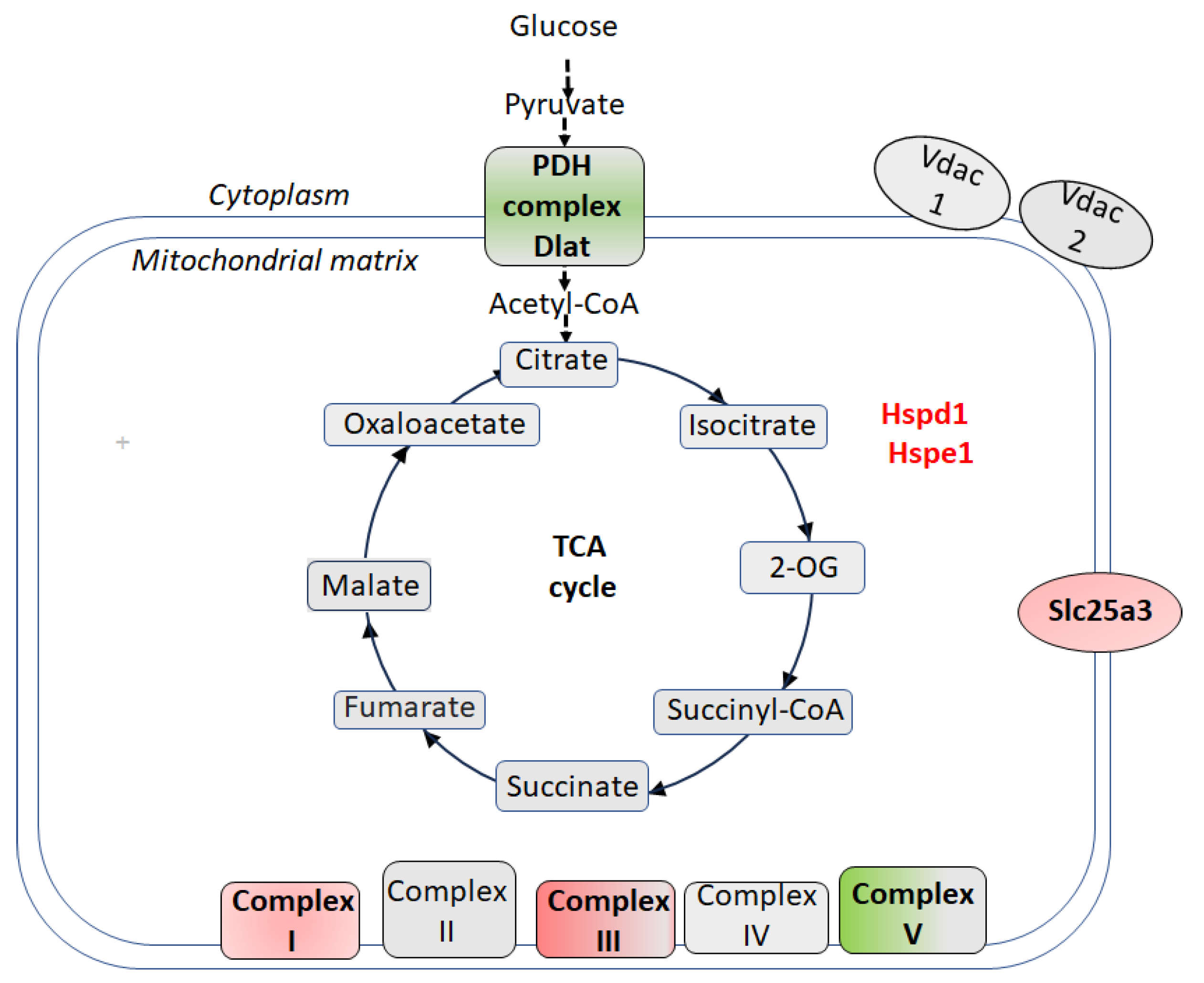 Biomolecules 15 01358 g002