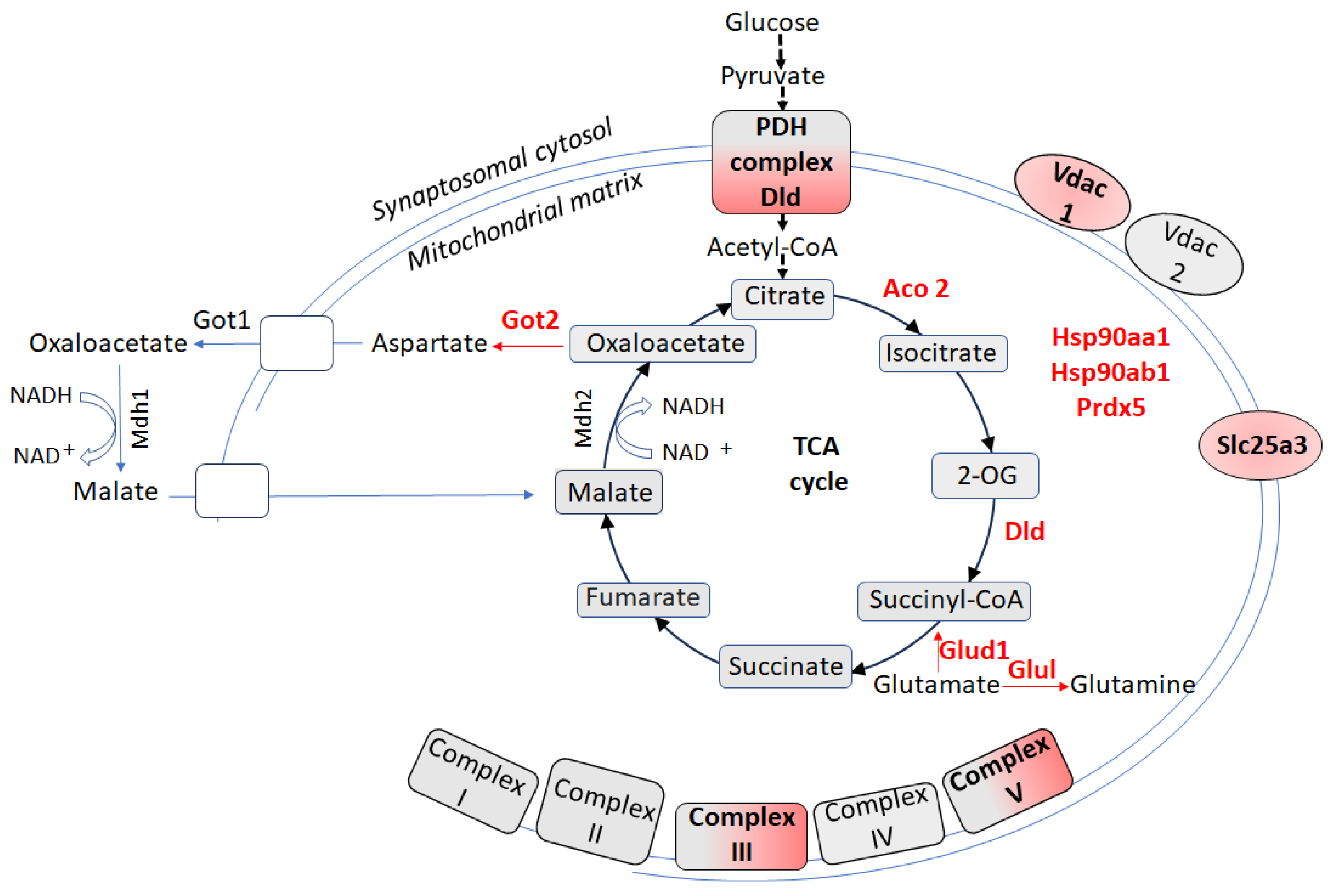 Biomolecules 15 01358 g003