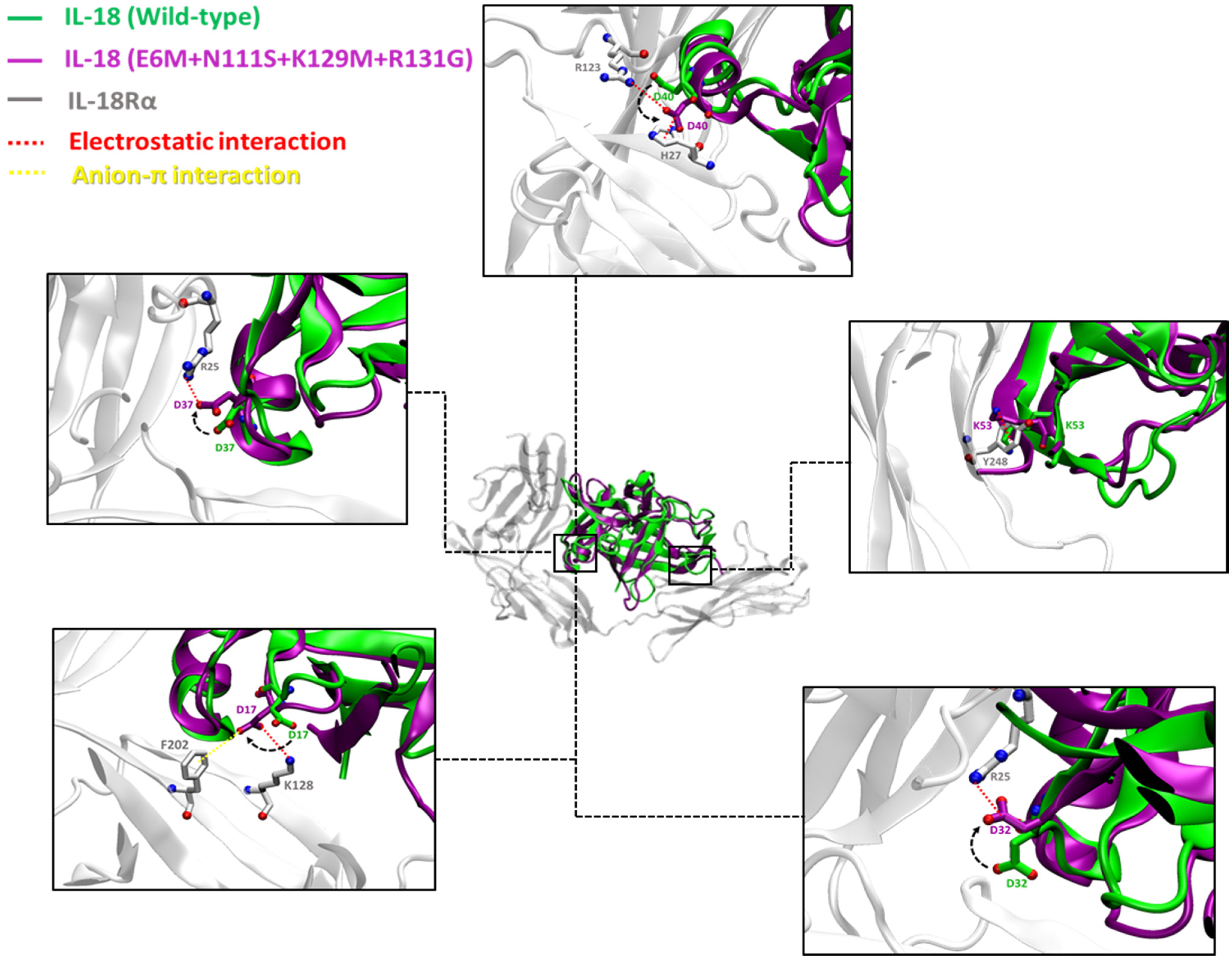 Biomolecules 15 01360 g004 Biomolecules 15 01360 g004