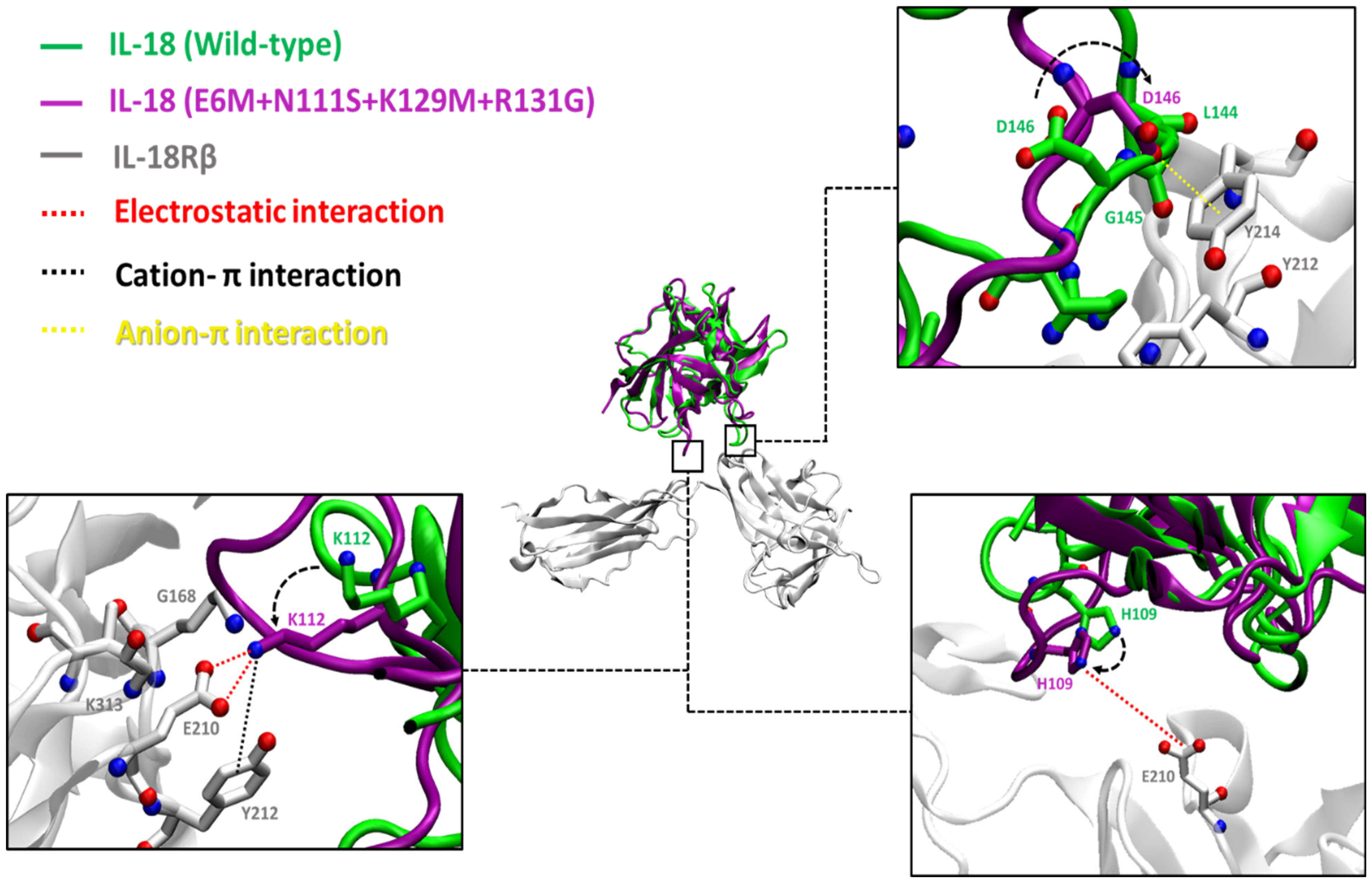 Biomolecules 15 01360 g005 Biomolecules 15 01360 g005